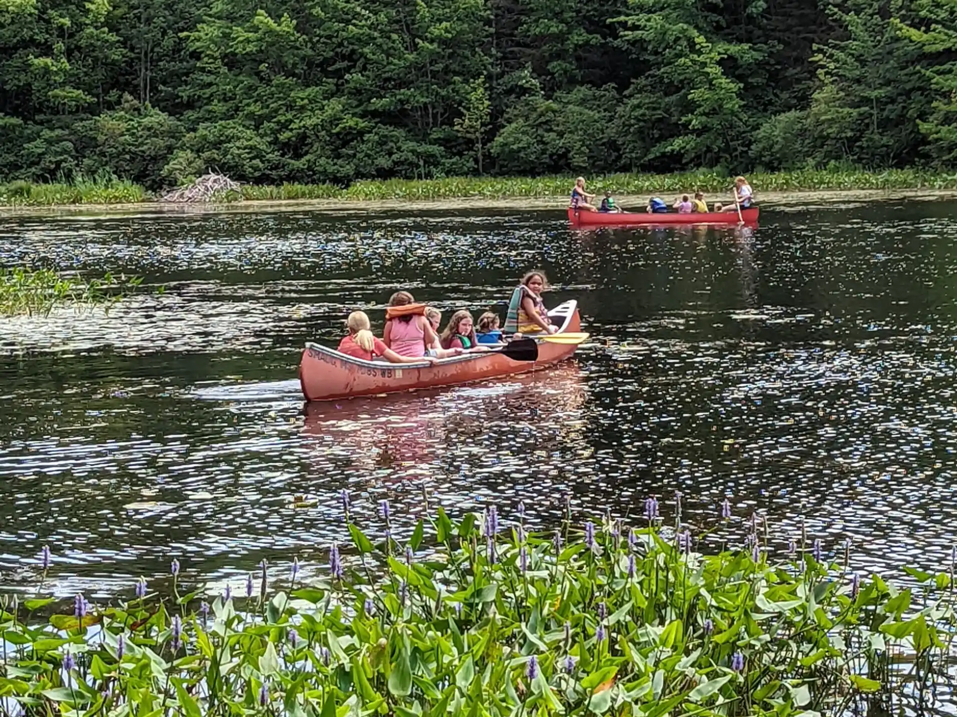a group of people in a canoe on a river