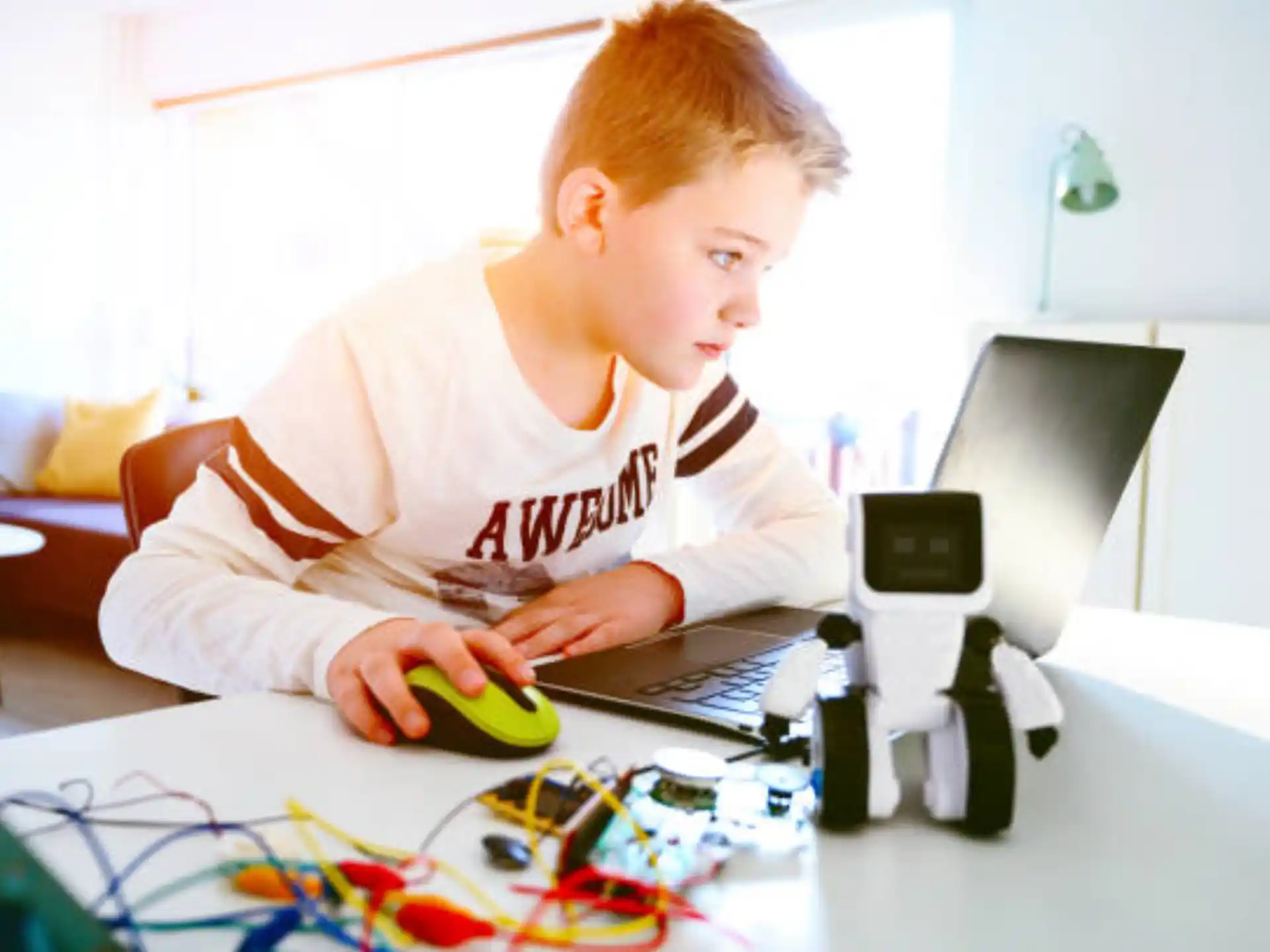 a young boy using a computer