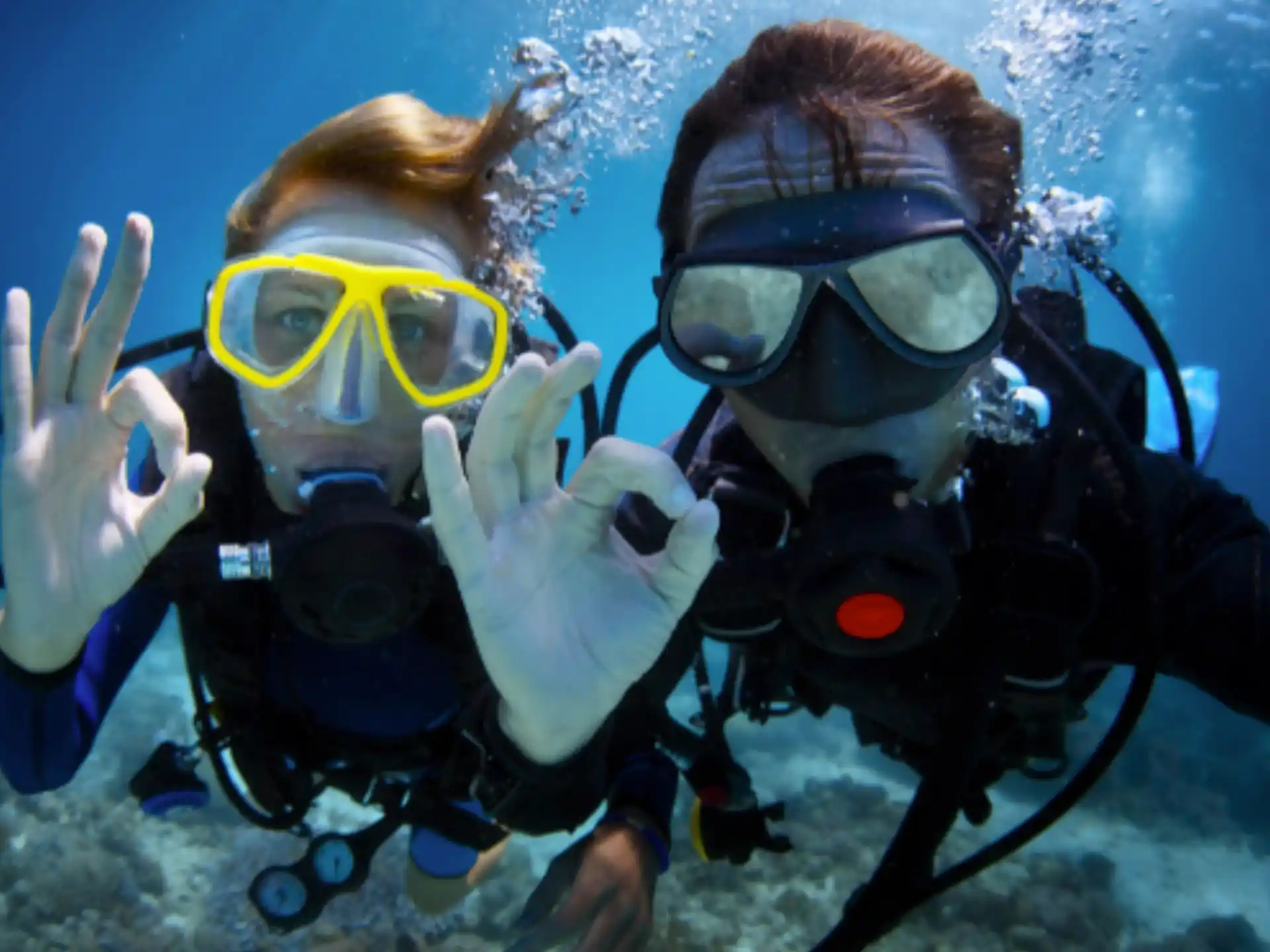 a couple of scuba divers