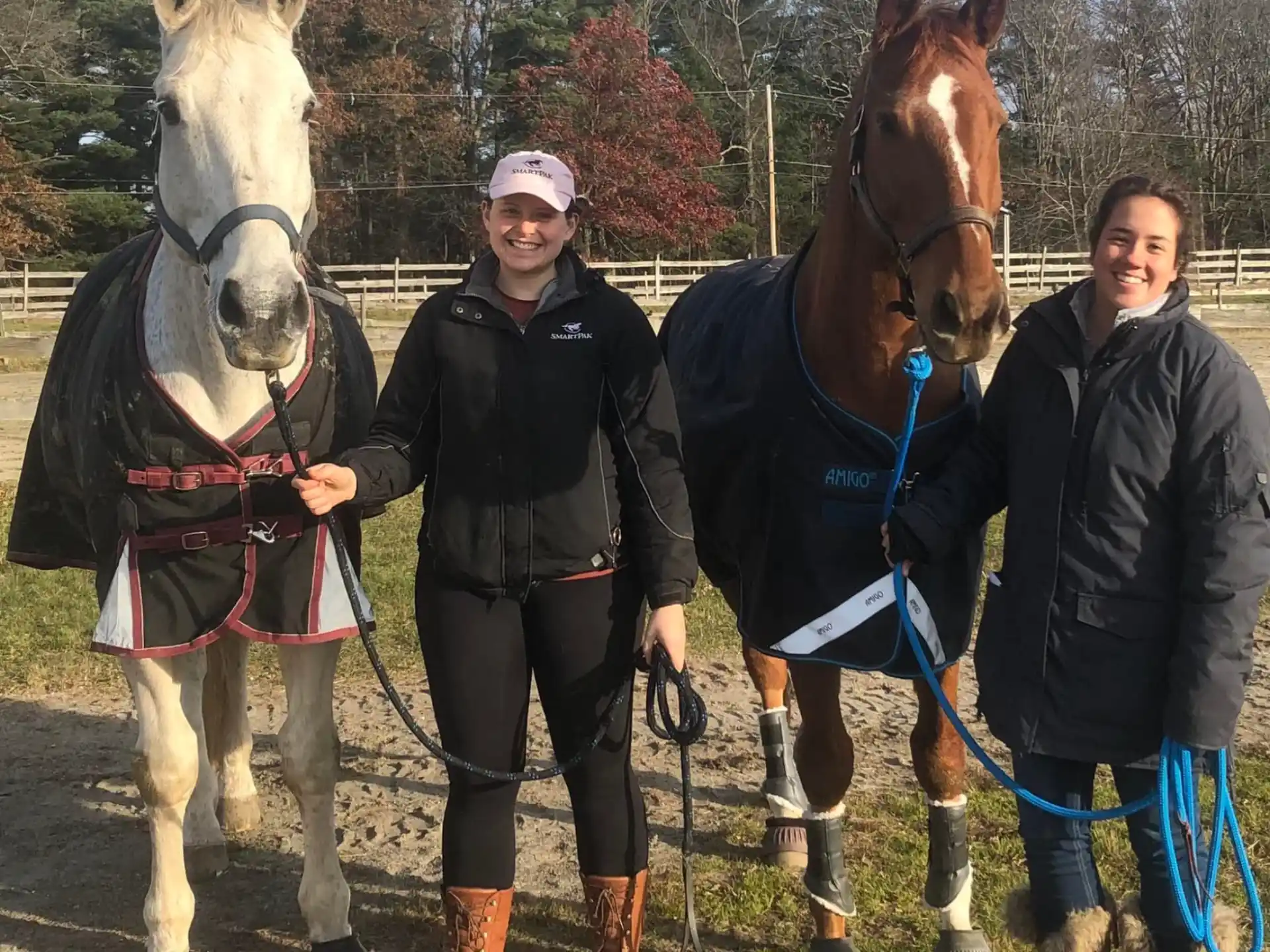 a group of people with horses