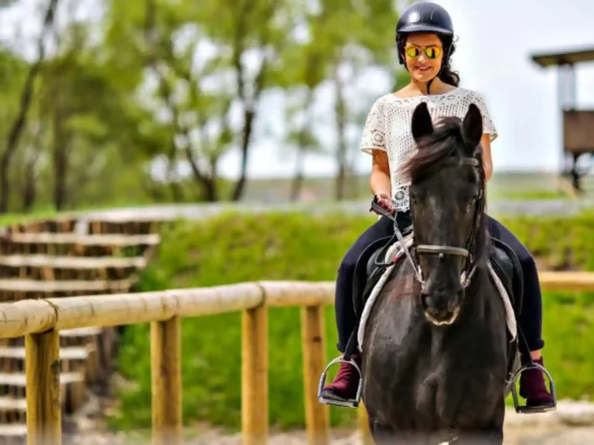 a person riding a horse
