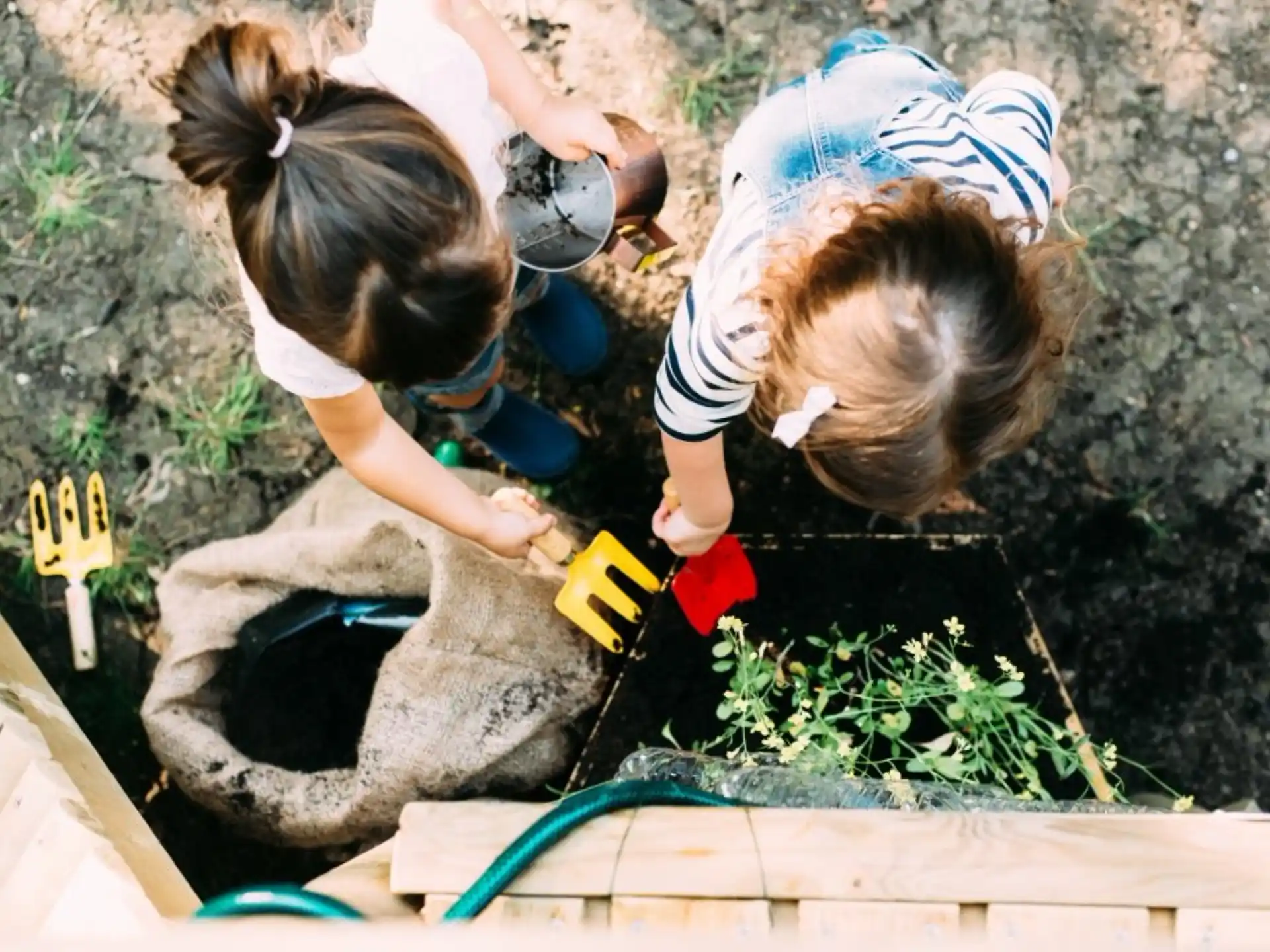 a couple of girls planting plants