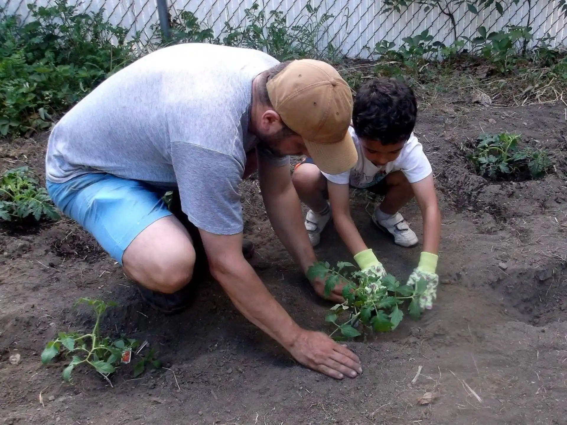 a couple of men planting plants