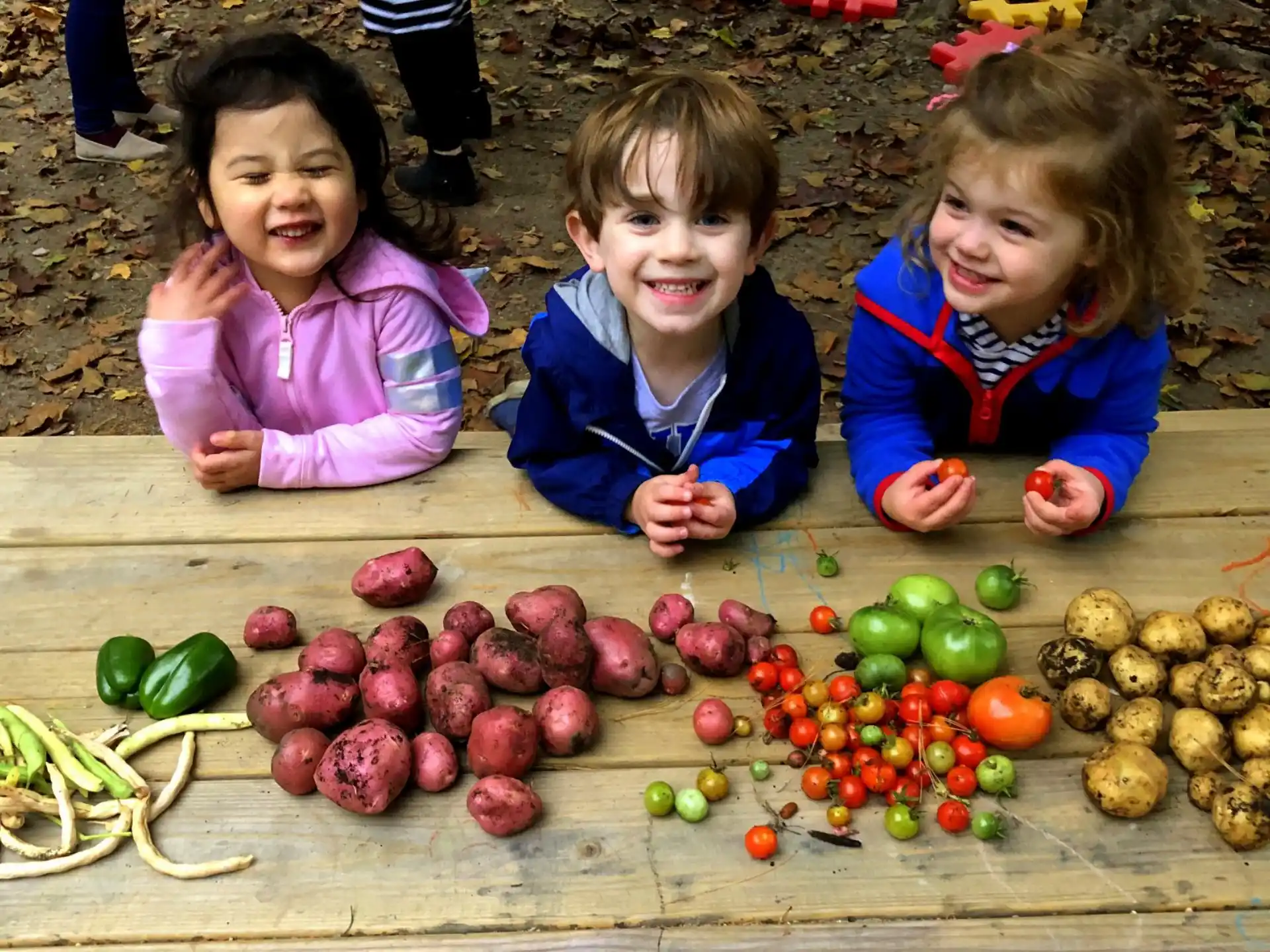 a group of children sitting on the ground with vegetables