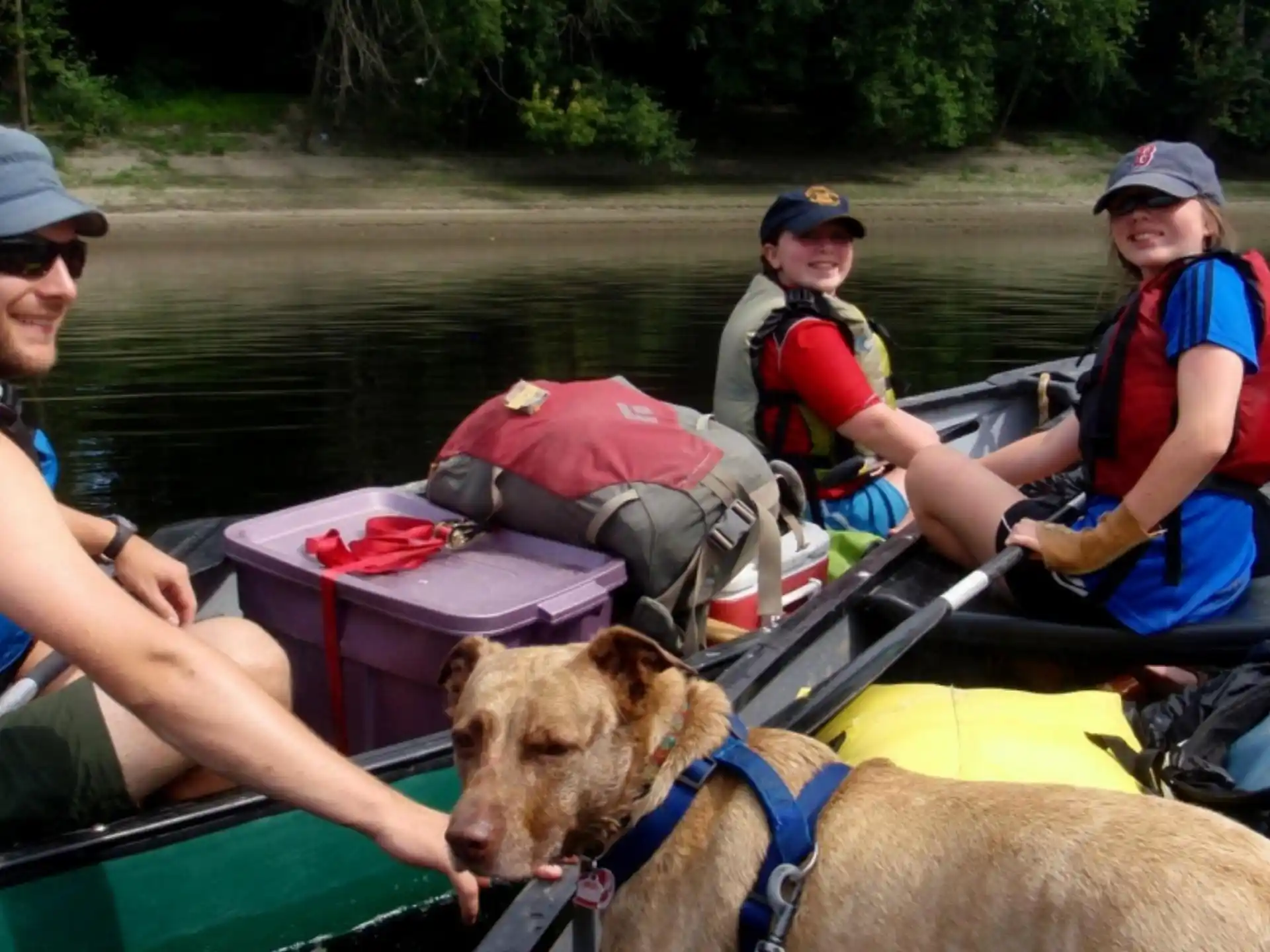 a group of people in a boat with a dog