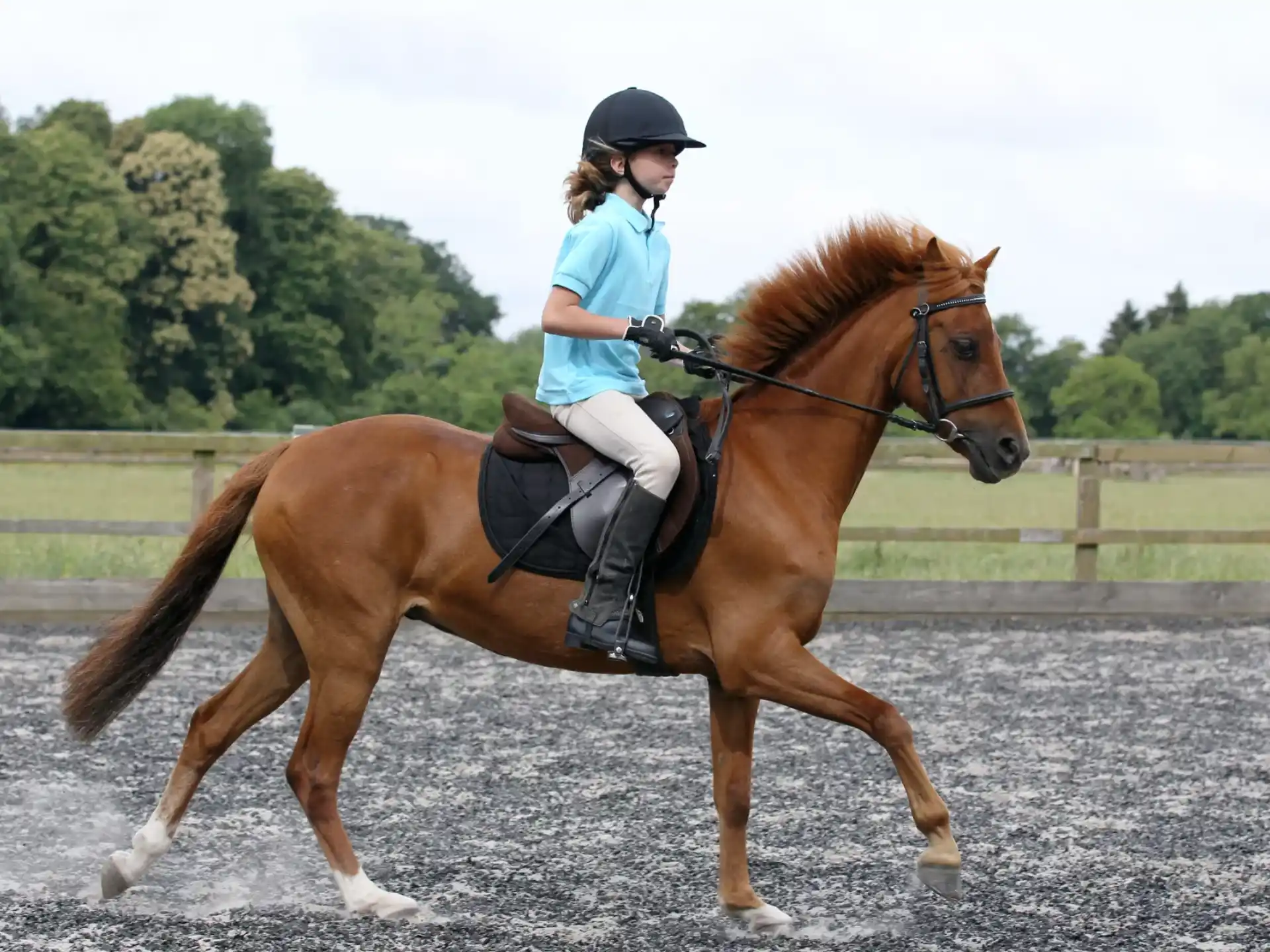 a person riding a horse
