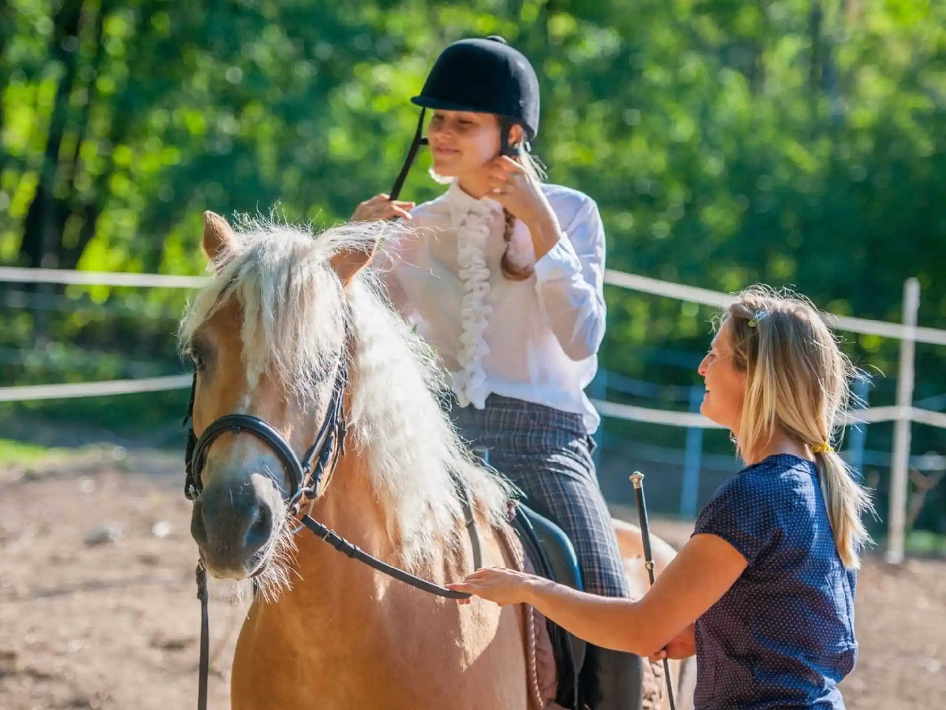 a person riding a horse