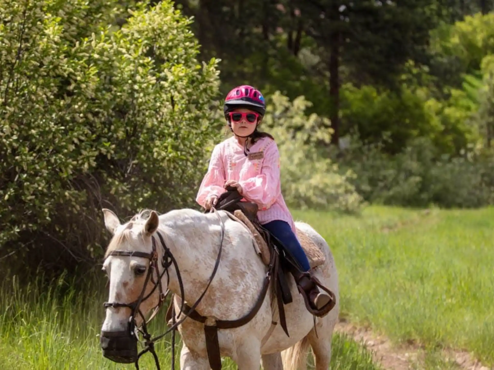 a person riding a horse