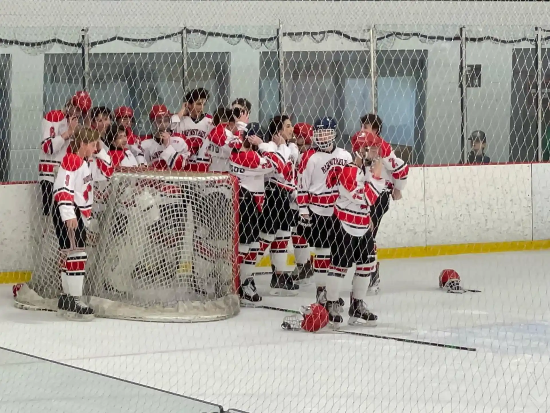 a group of hockey players on the ice