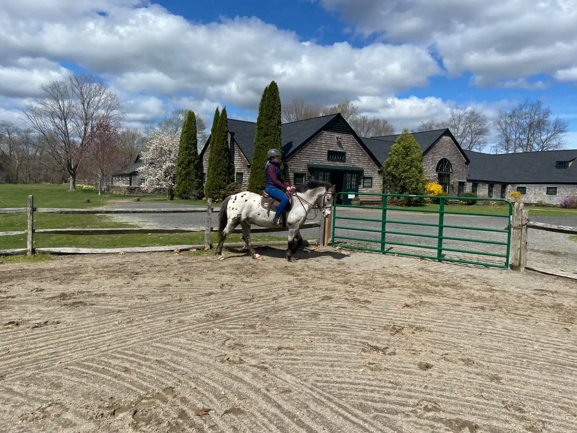 a person riding a horse in a dirt field