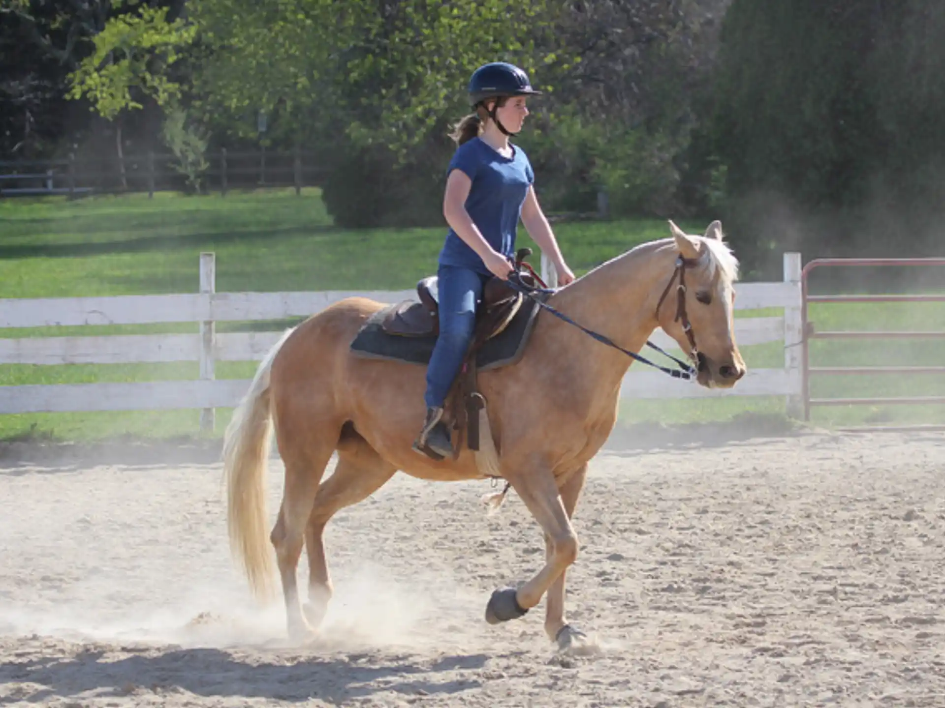 a person riding a horse