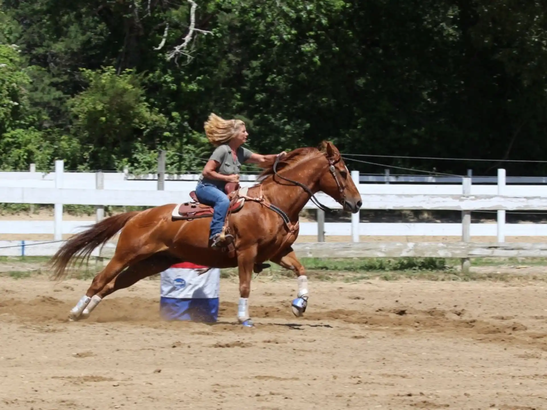 a person riding a horse