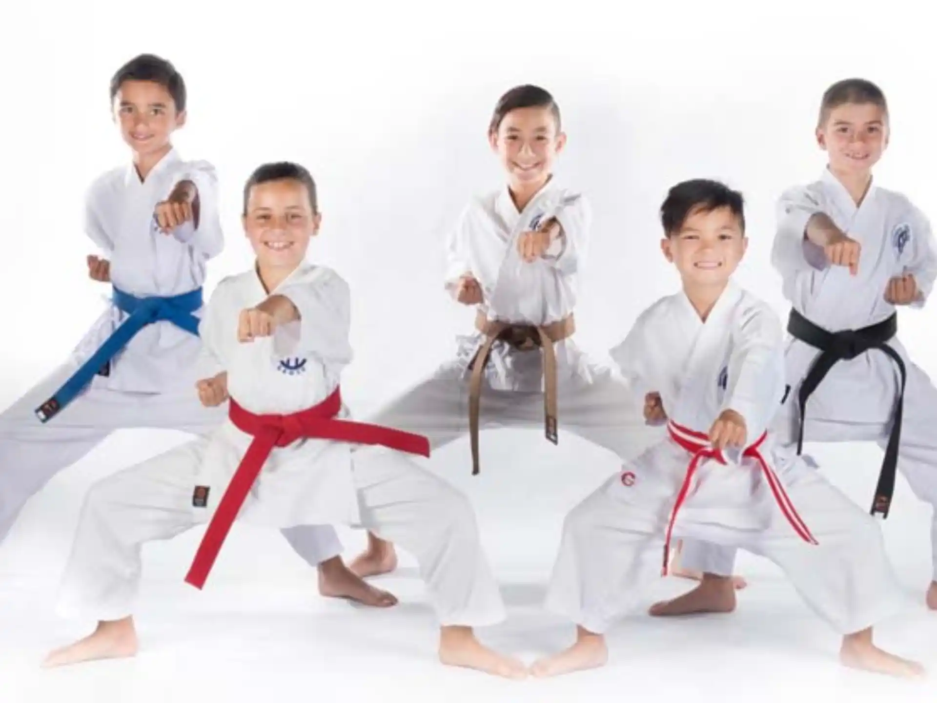 a group of kids in karate uniforms
