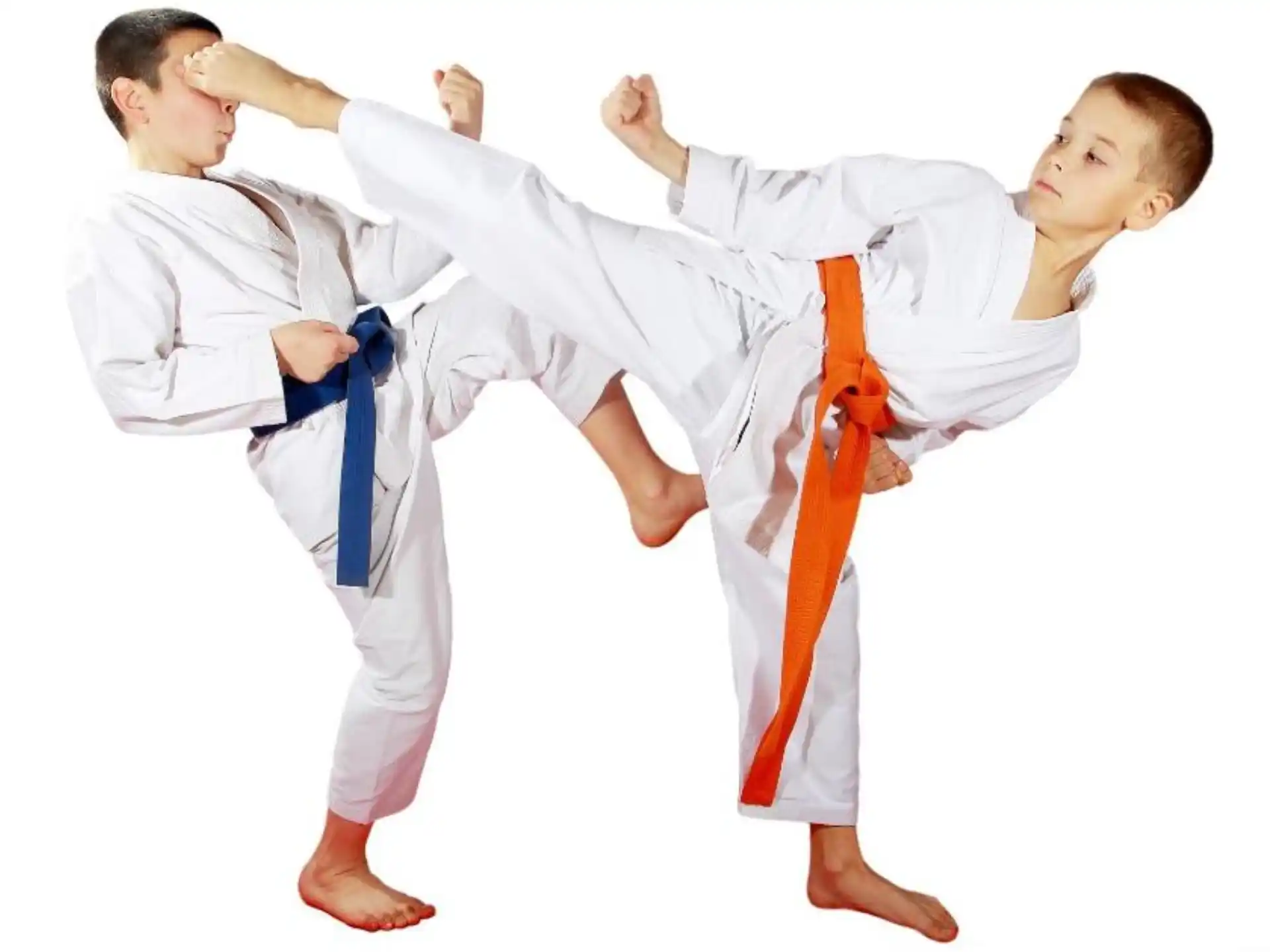 a couple of boys in karate uniforms