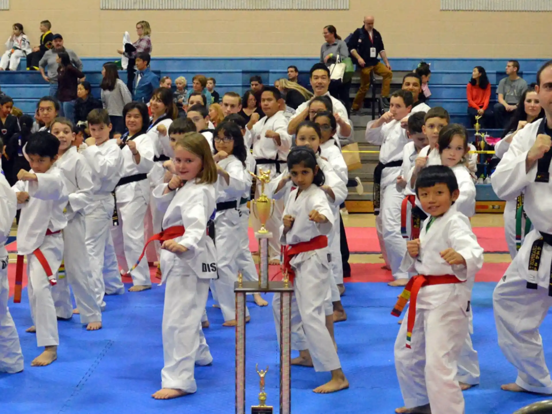 a group of people in karate uniforms