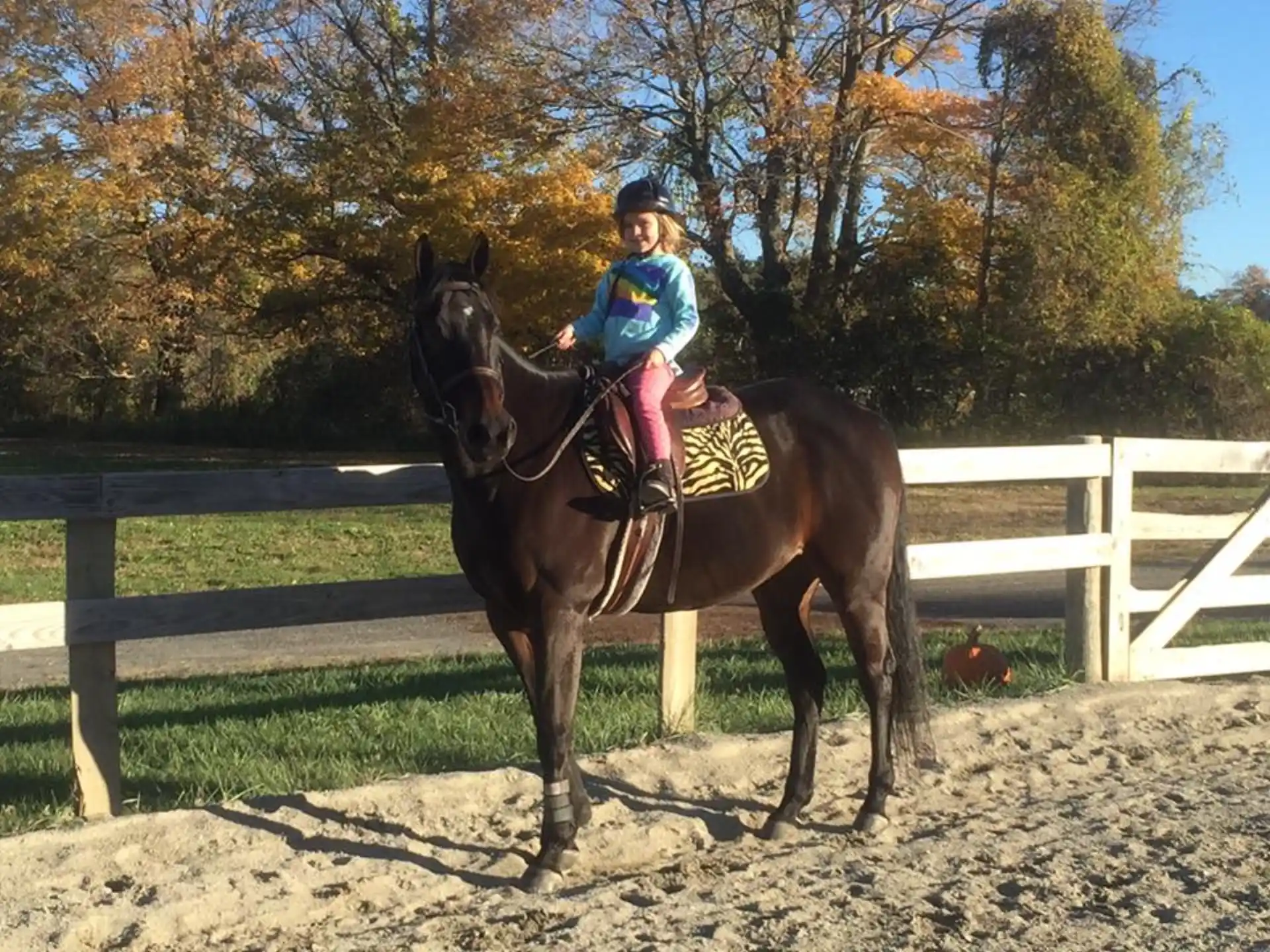 a girl riding a horse