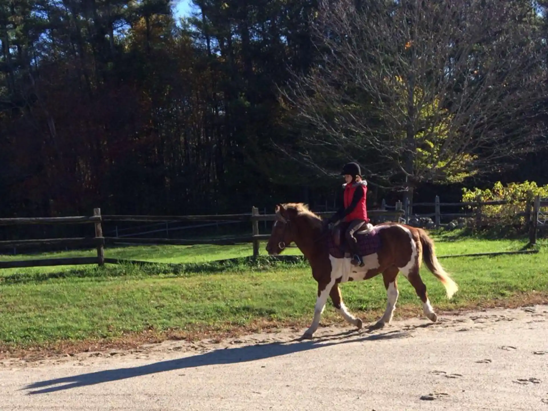 a person riding a horse