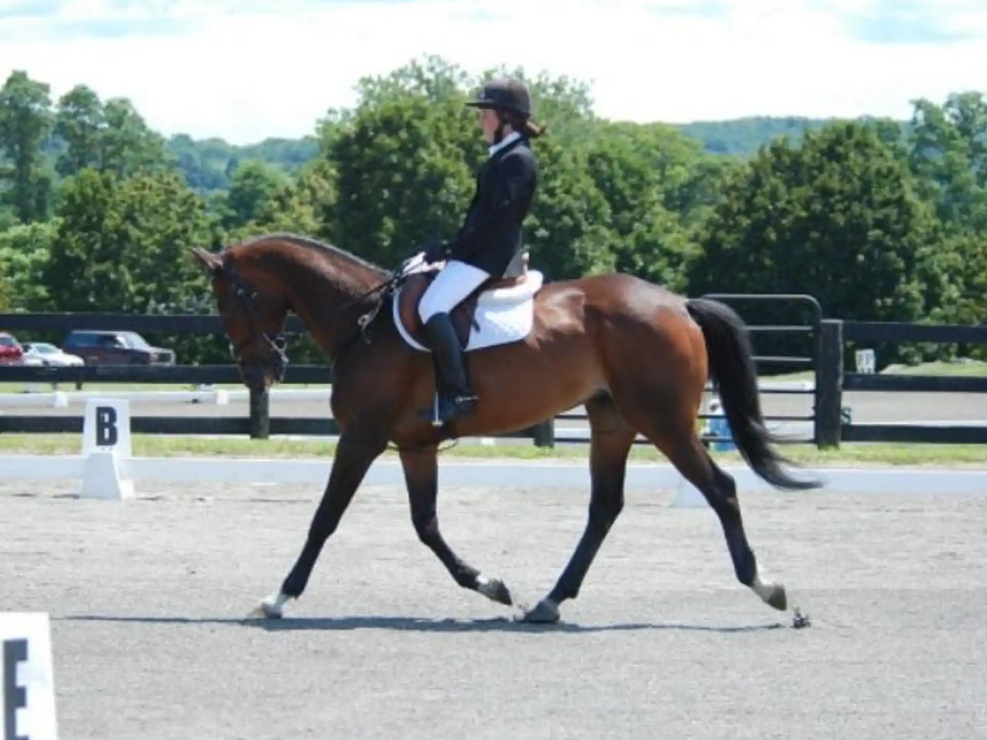 a person riding a horse
