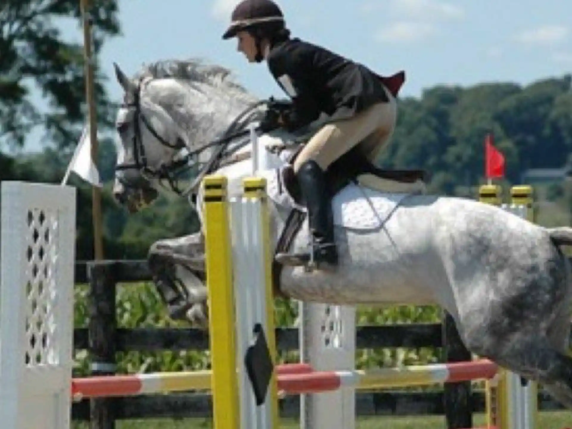 a person riding a horse jumping over a jump
