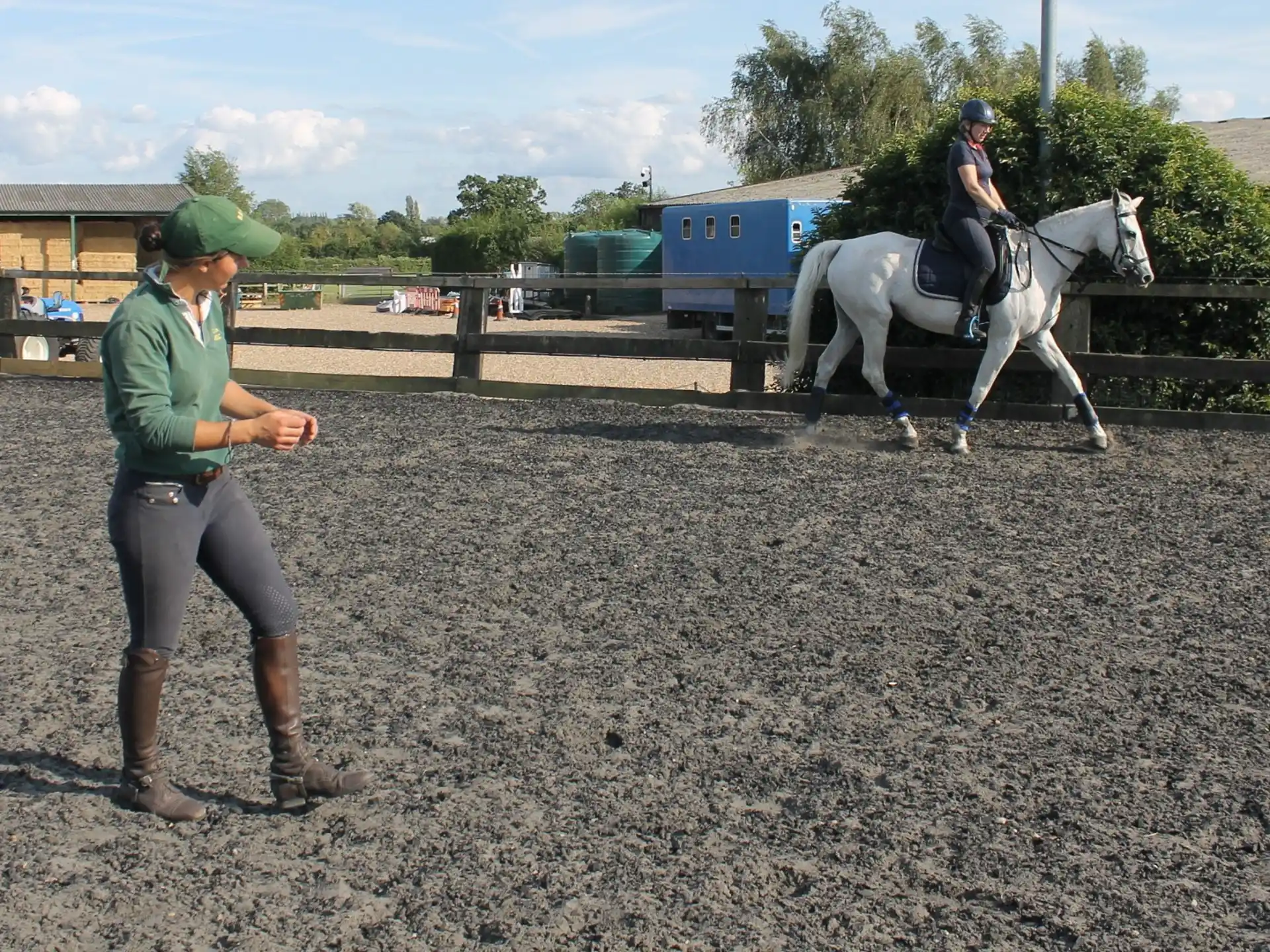 a person leading a horse