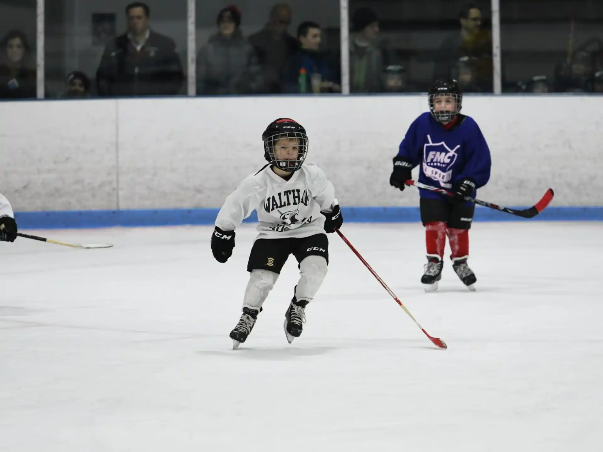 a group of people playing hockey