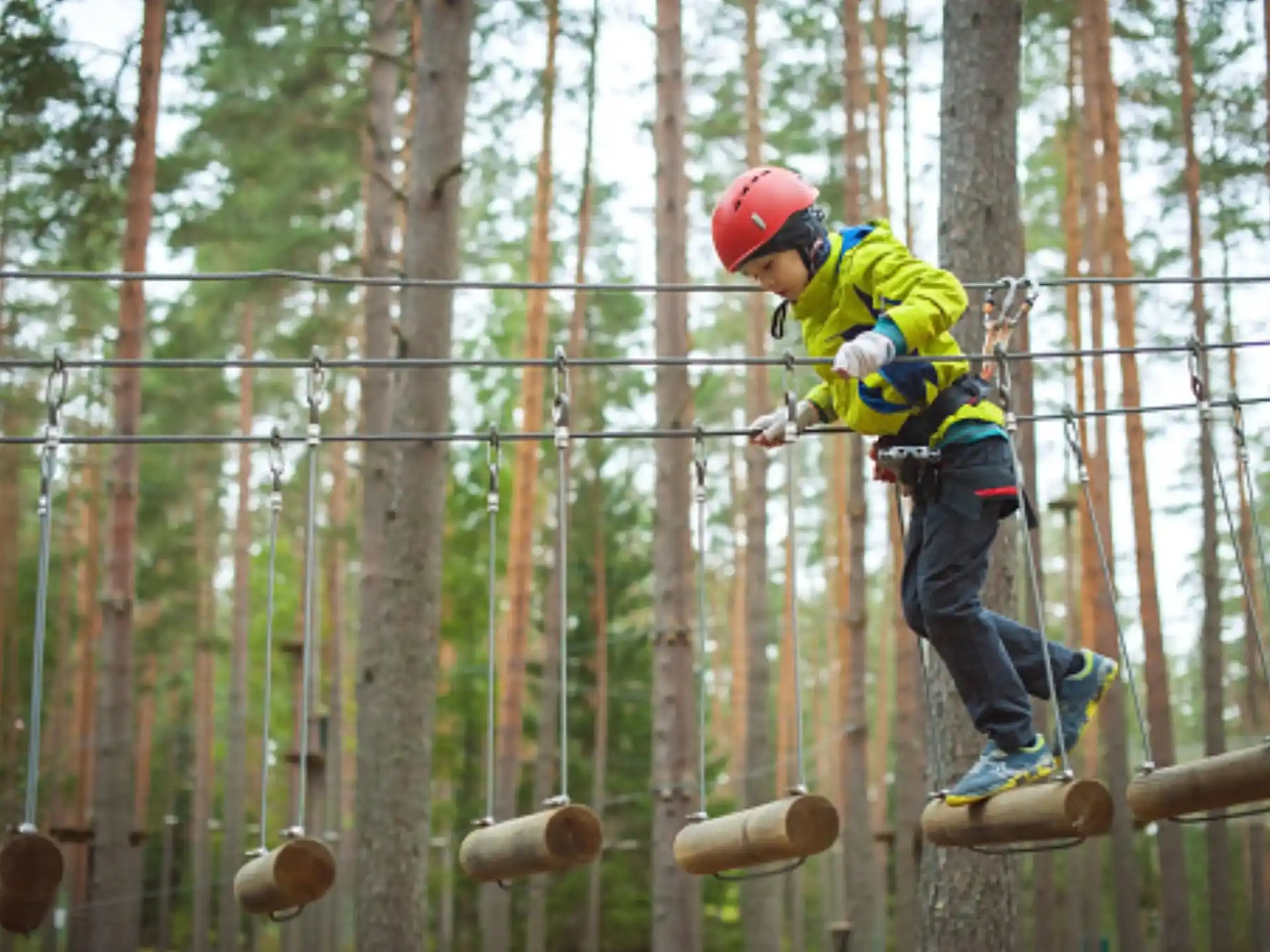 a man wearing a helmet and climbing a tree