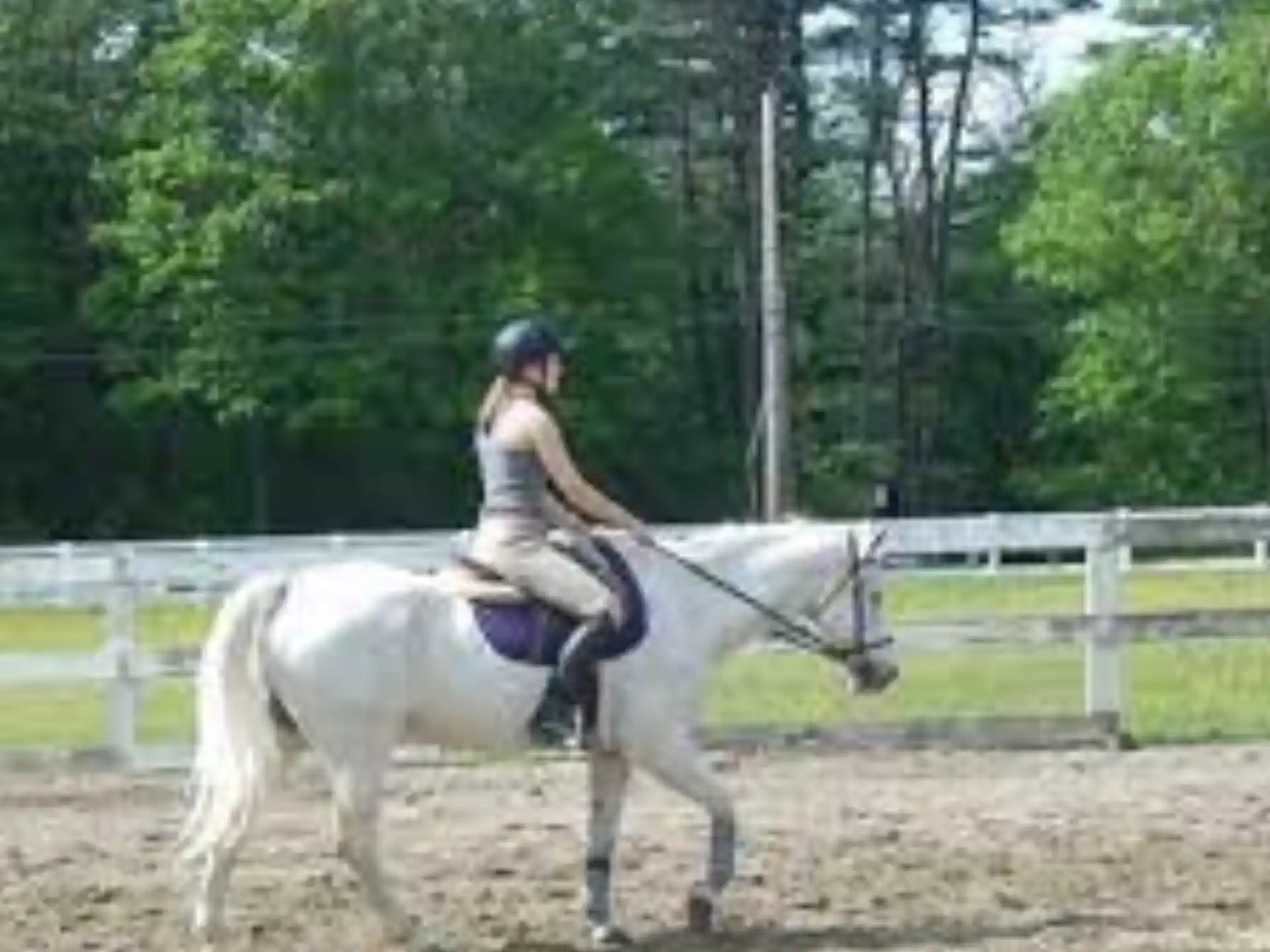 a person riding a horse