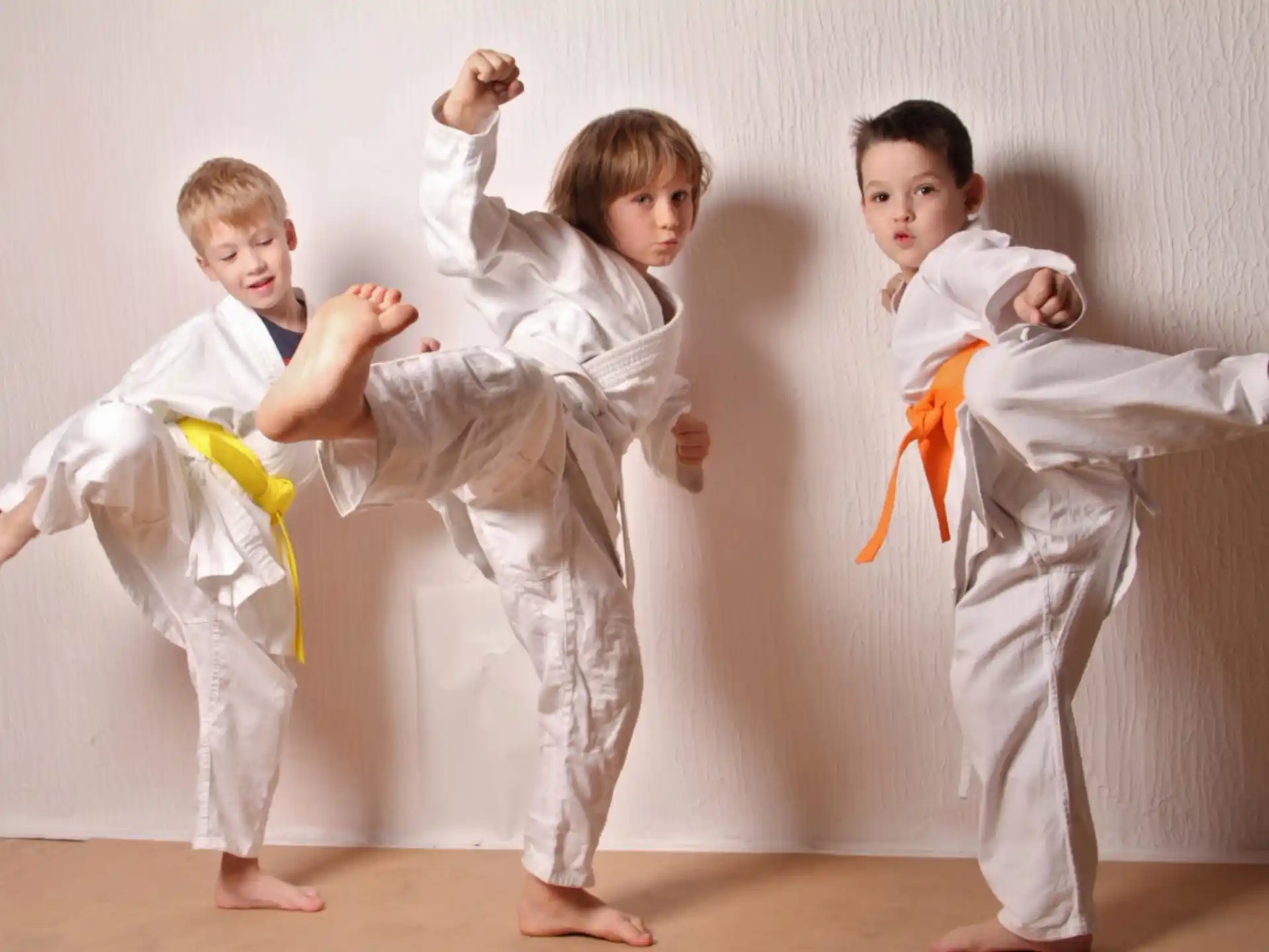 a group of boys in karate uniforms