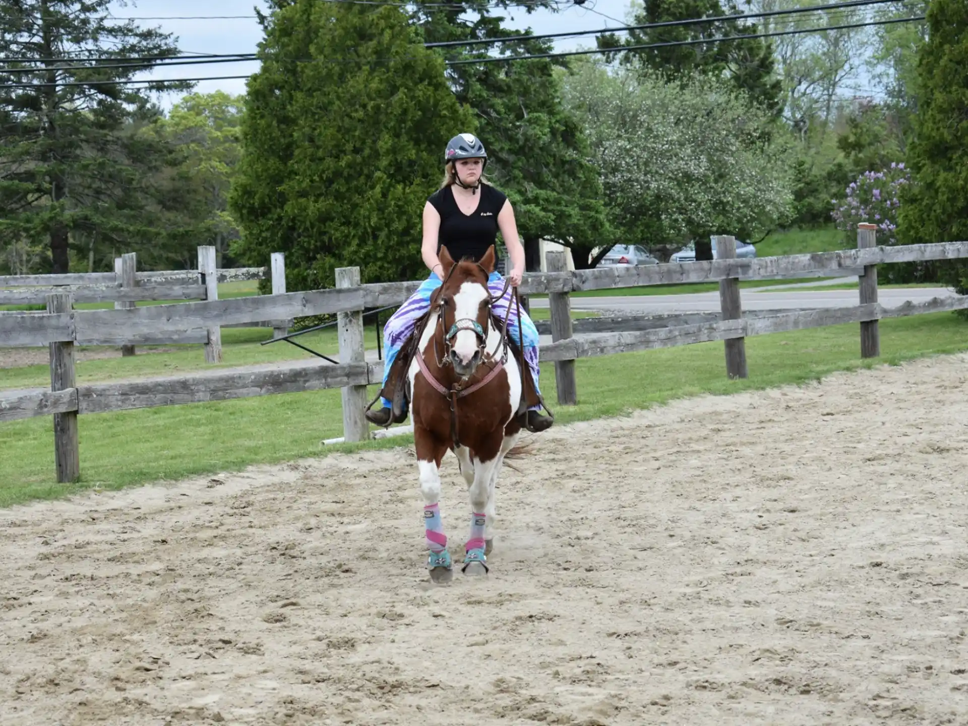 a person riding a horse