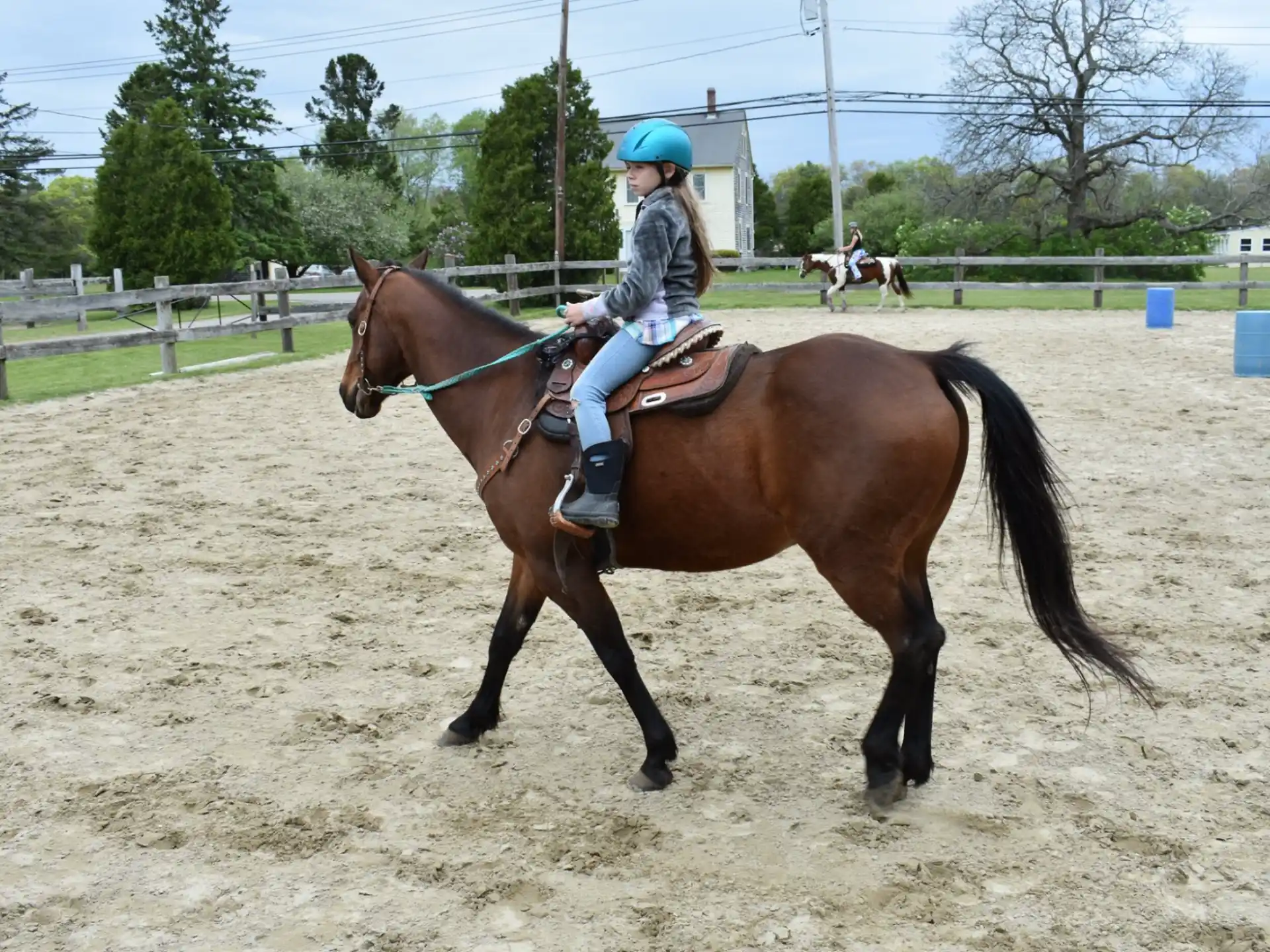 a person riding a horse