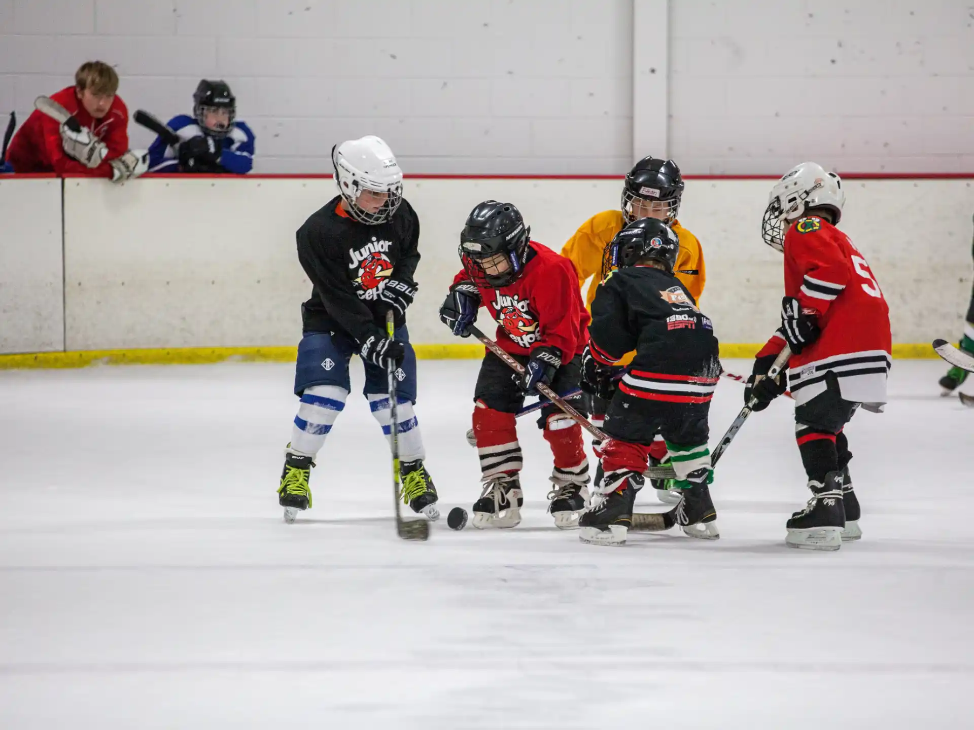 a group of people playing hockey