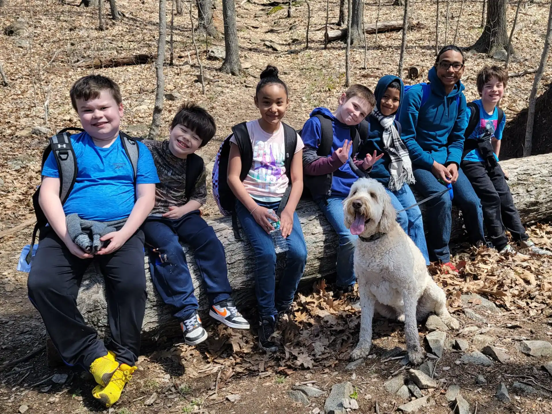 a group of people sitting on a rock with a dog