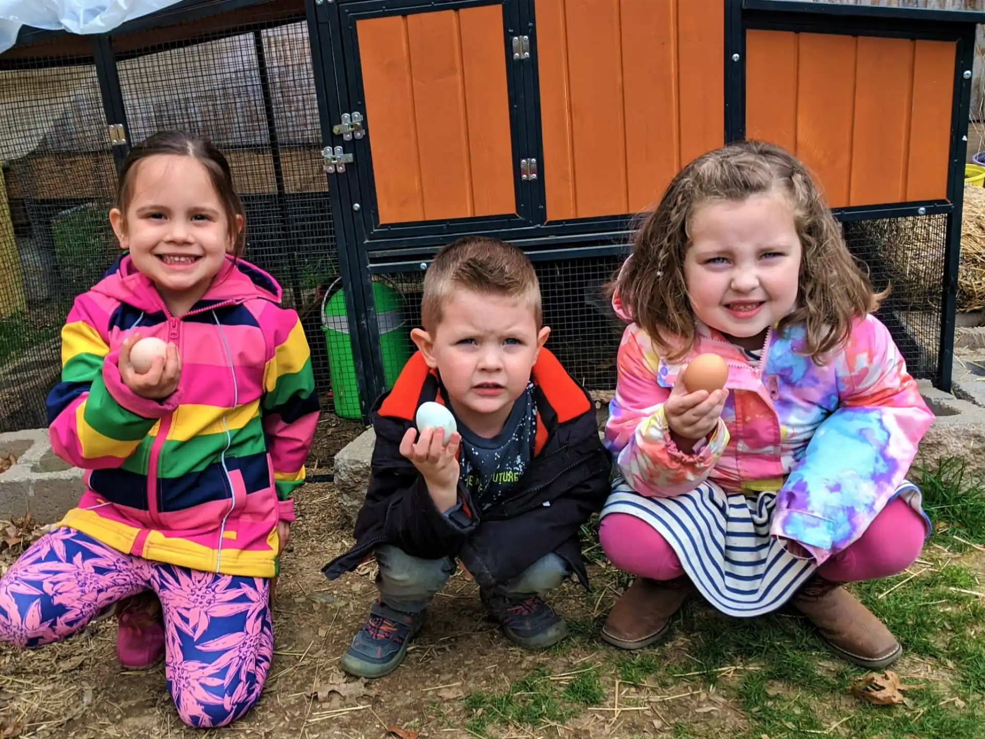 a group of children sitting on the grass