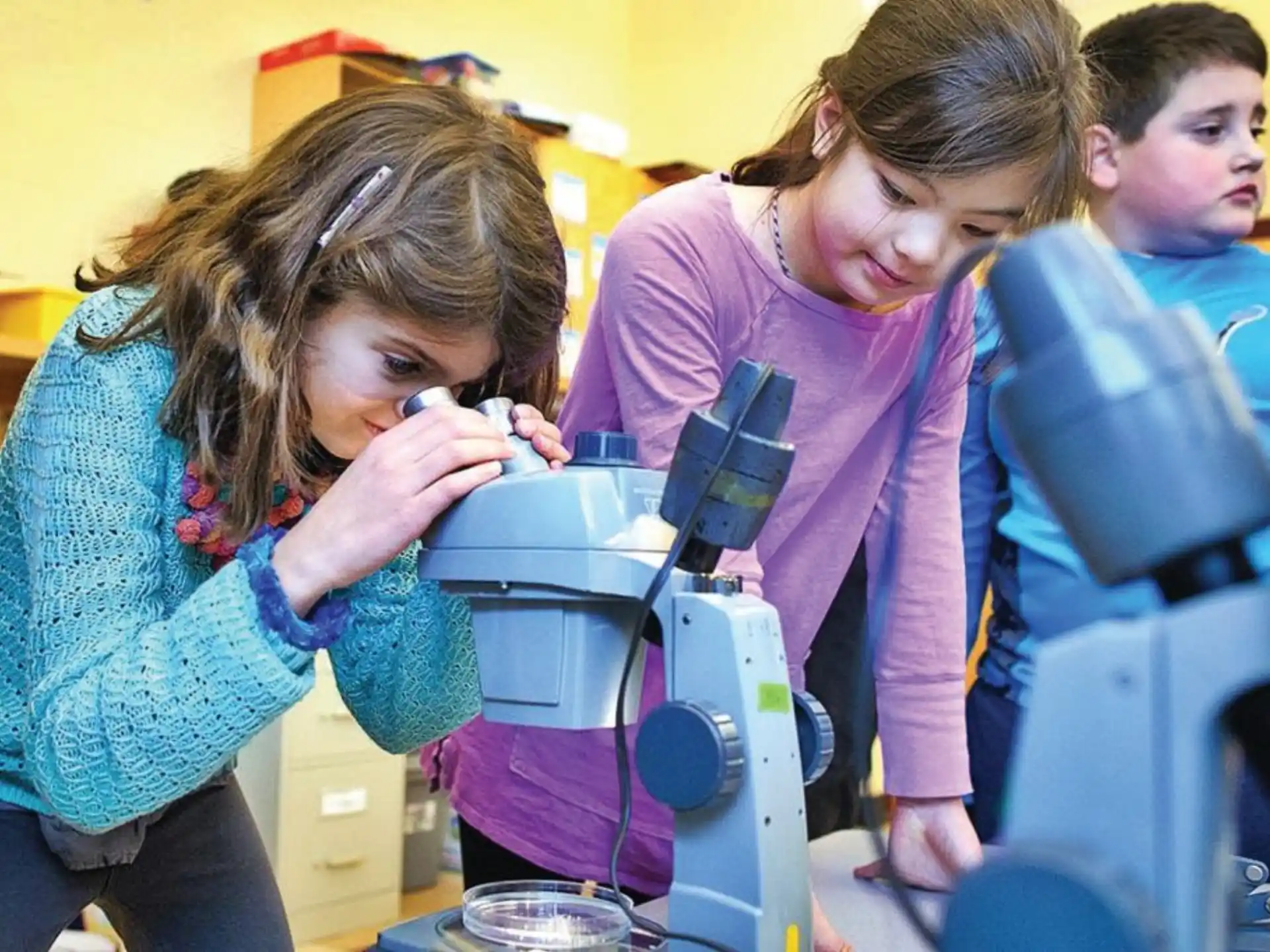 a few young people looking at a microscope