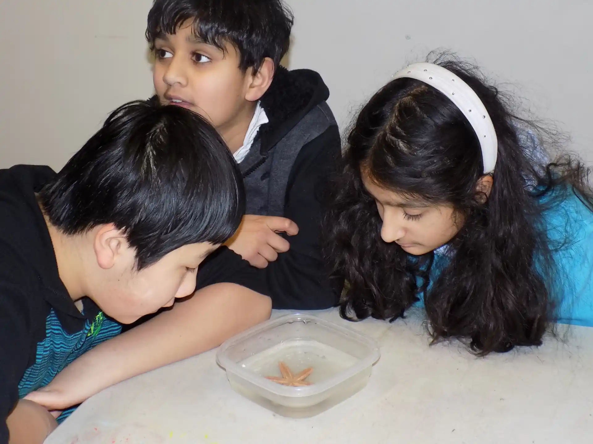 a group of people looking at a bowl of food