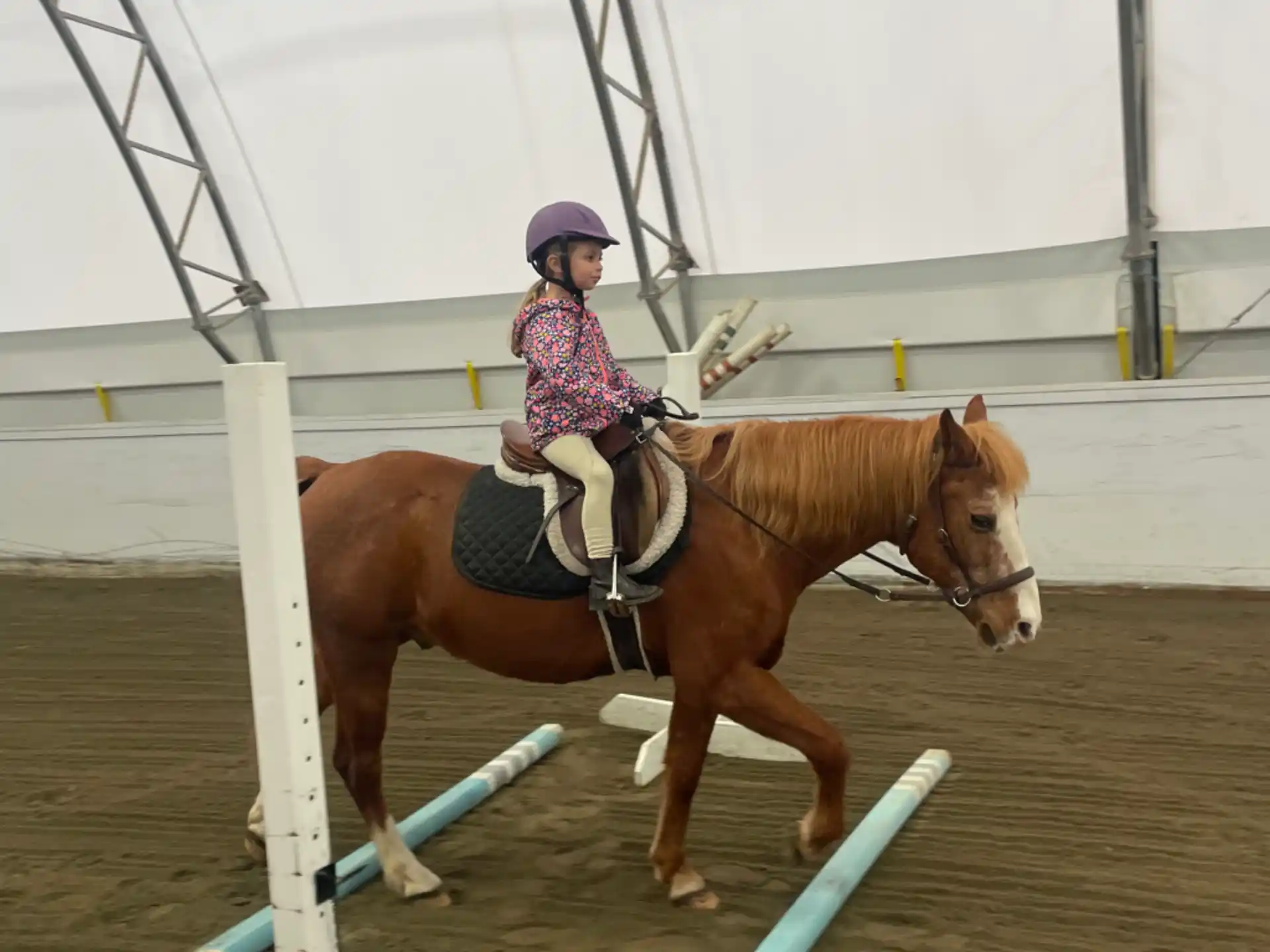 a girl riding a horse