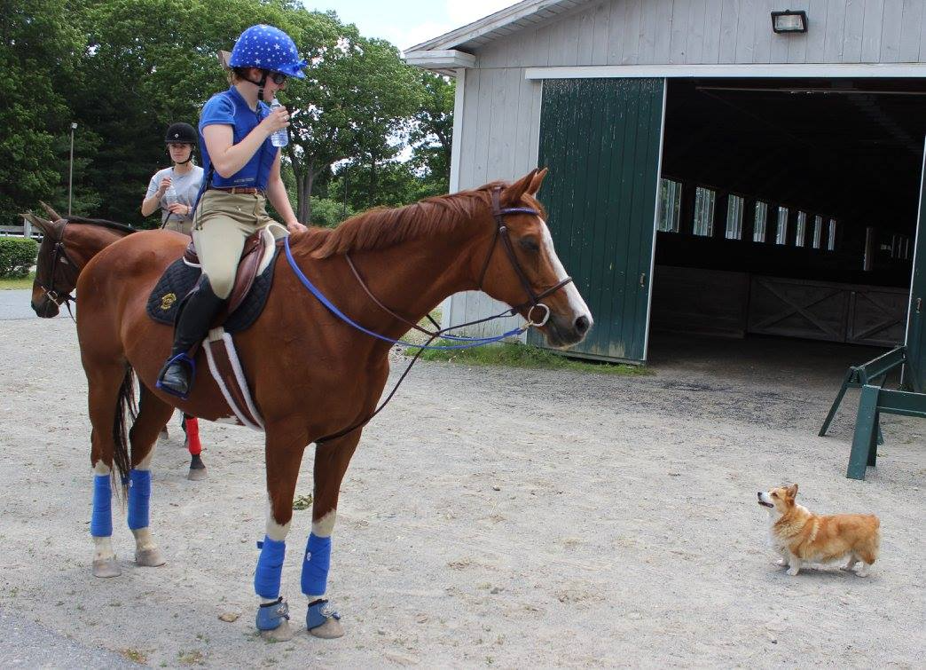 a couple of girls riding horses