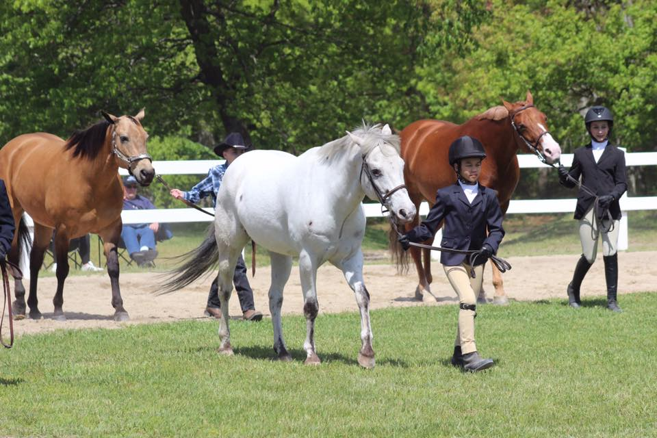 a group of people in uniform with horses