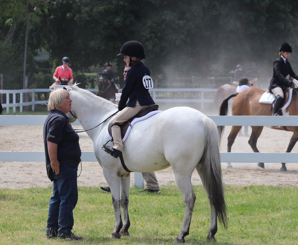a person riding a horse