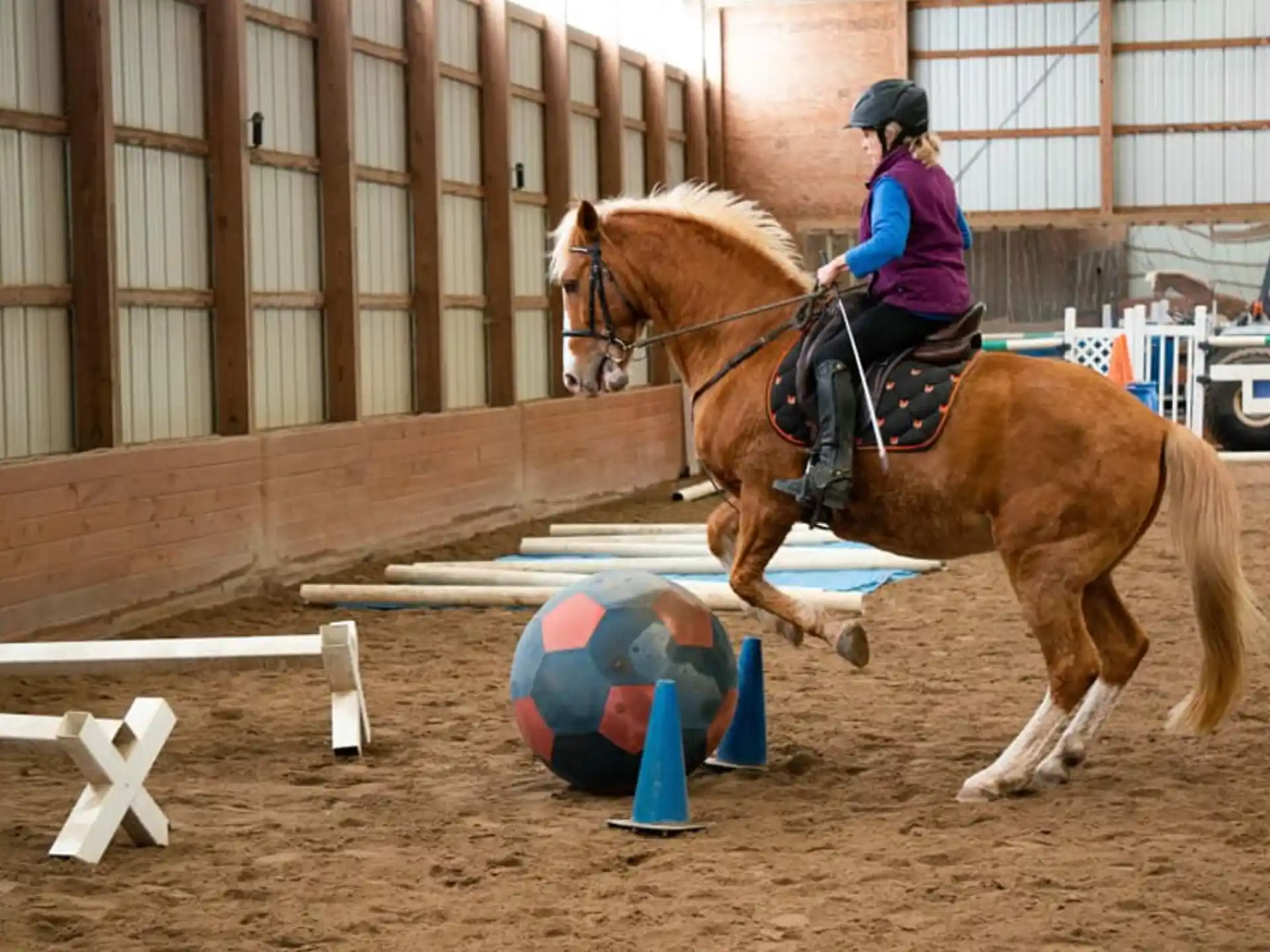 a person riding a horse