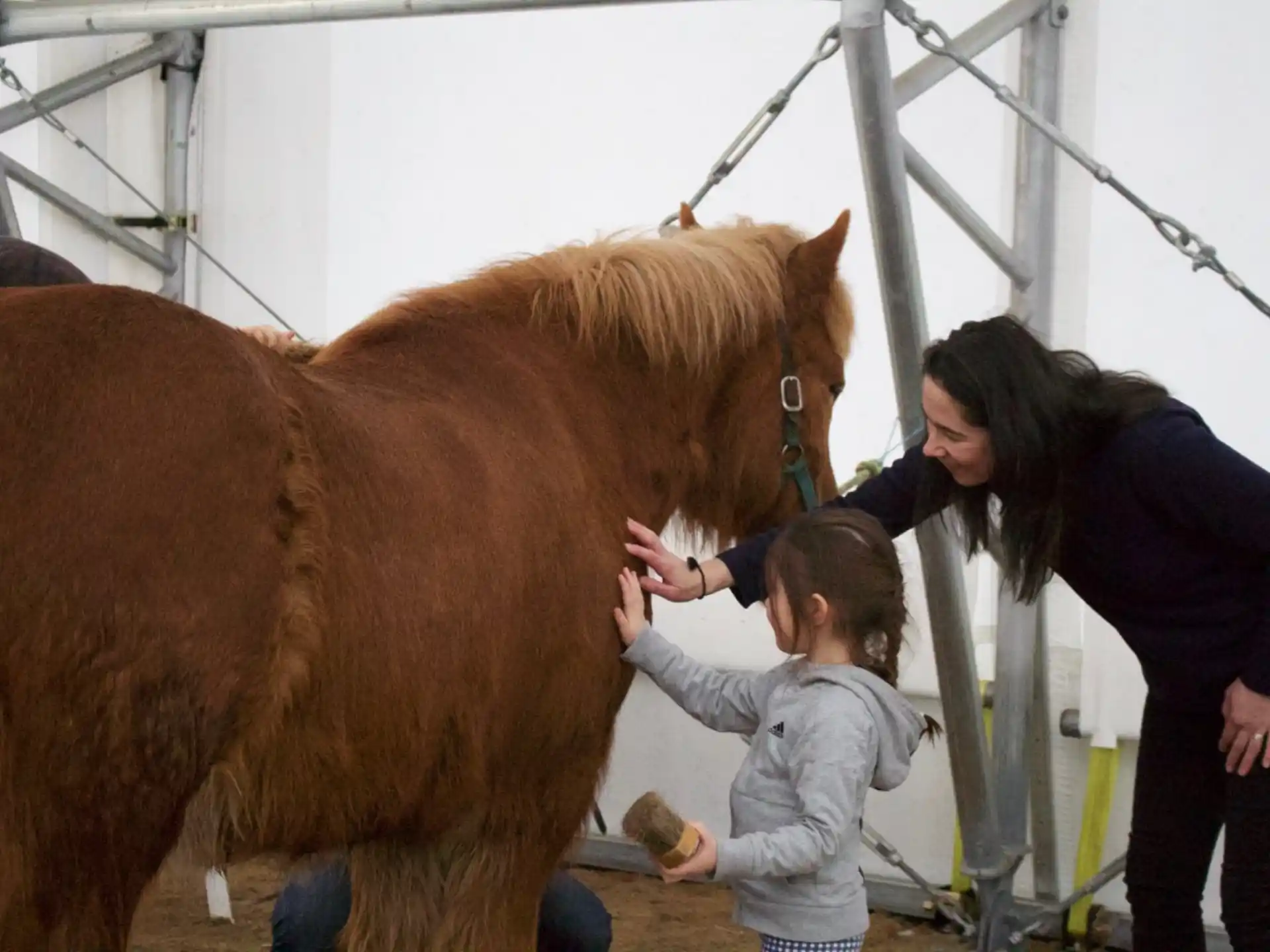 a man and a child petting a horse