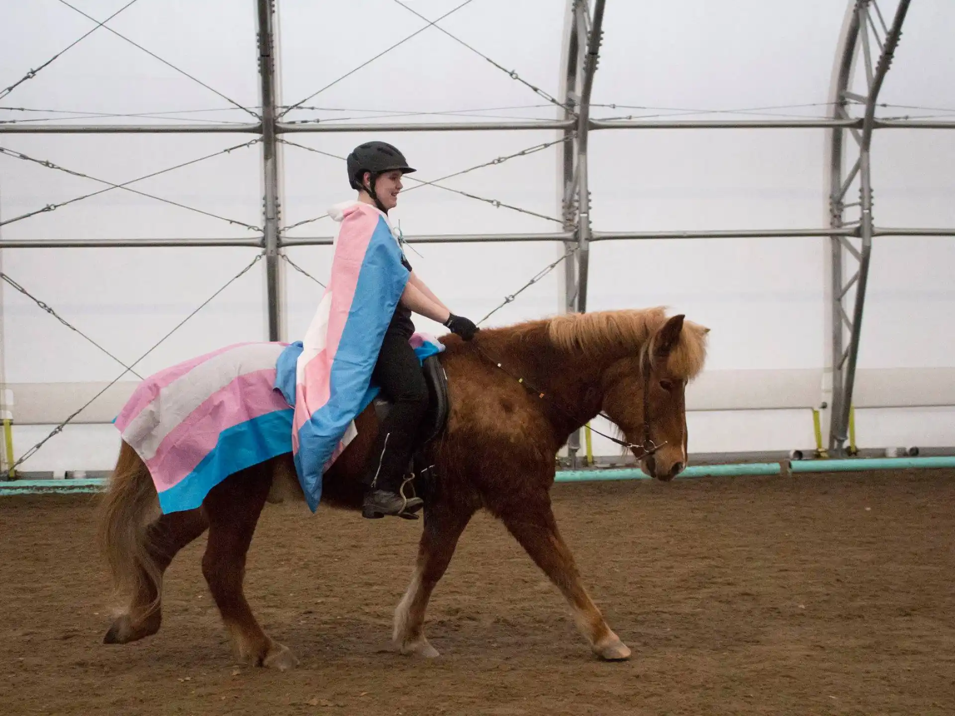 a man riding a camel