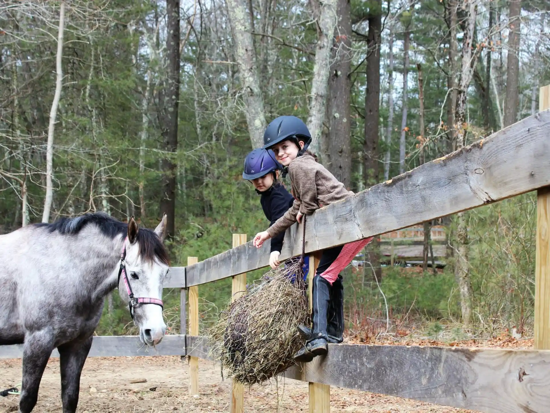 a couple of people riding horses