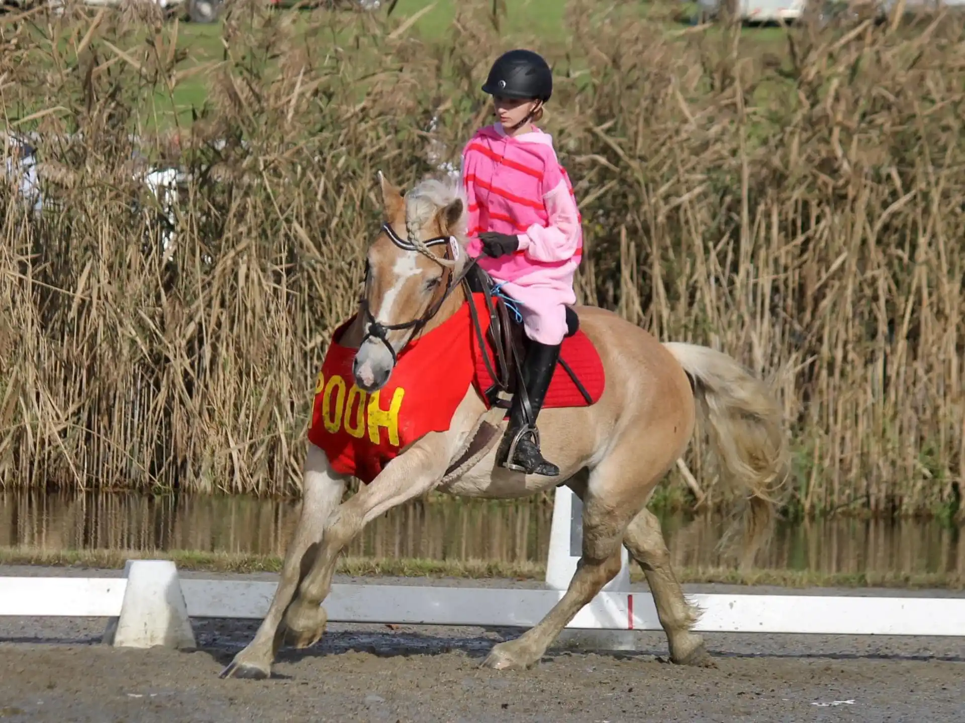 a man riding a horse