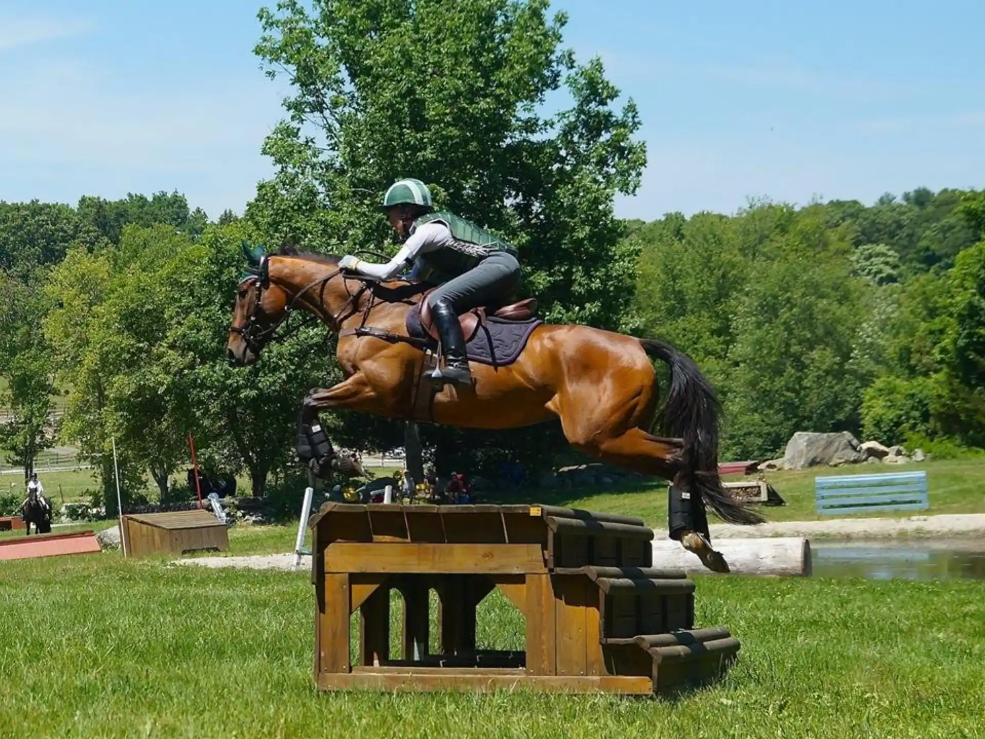 a person riding a horse