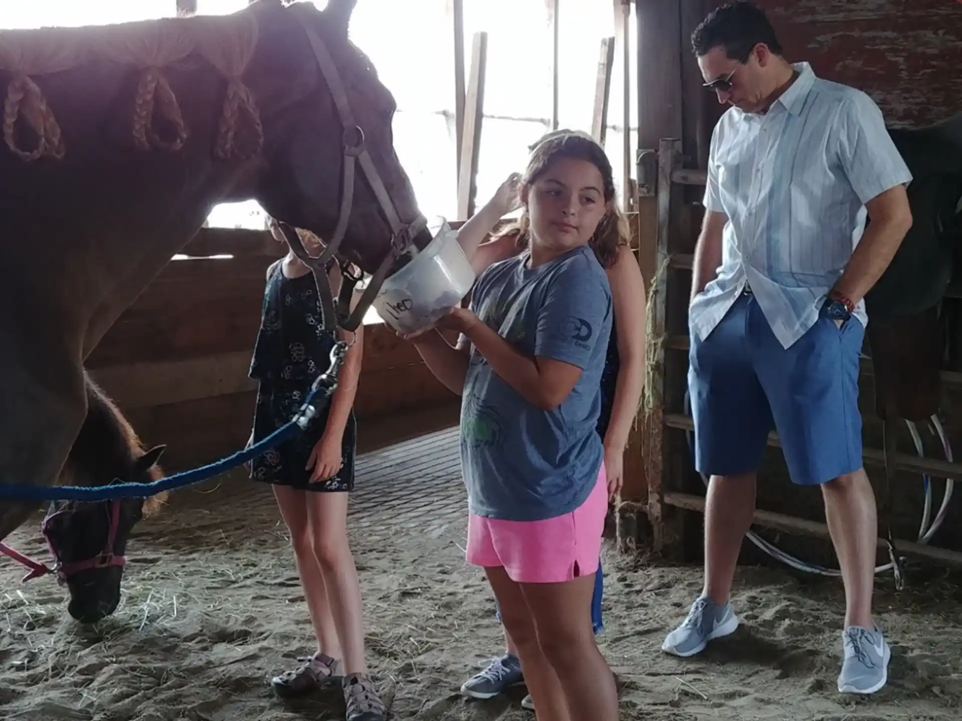 a girl standing next to a horse