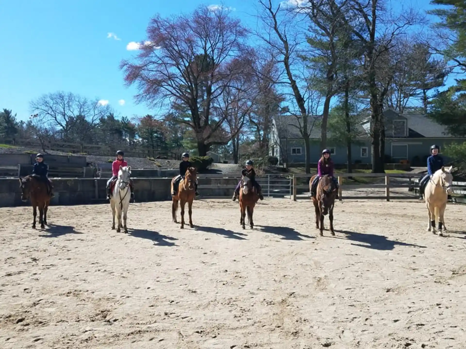 people riding horses on a beach