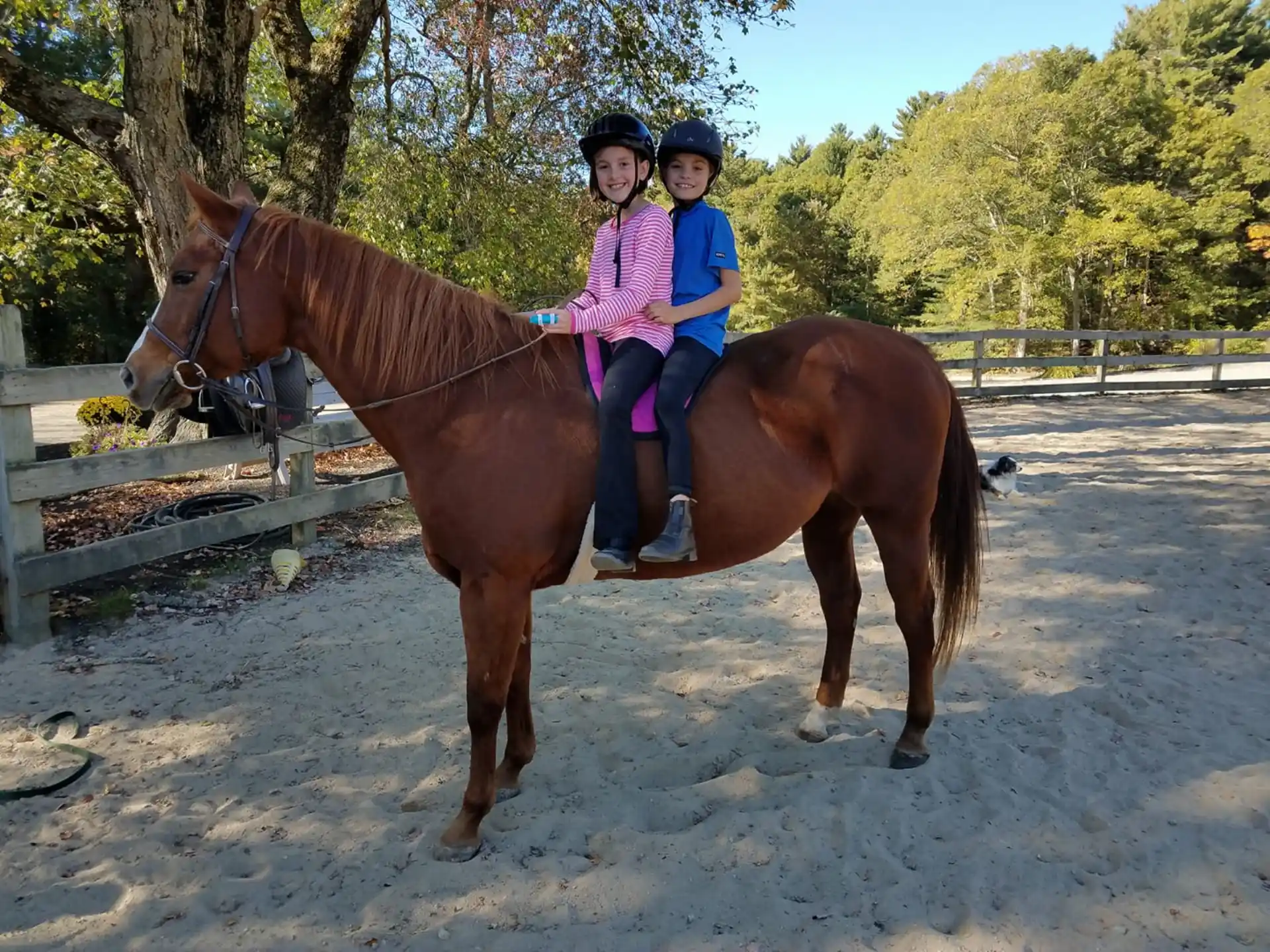 two girls on a horse
