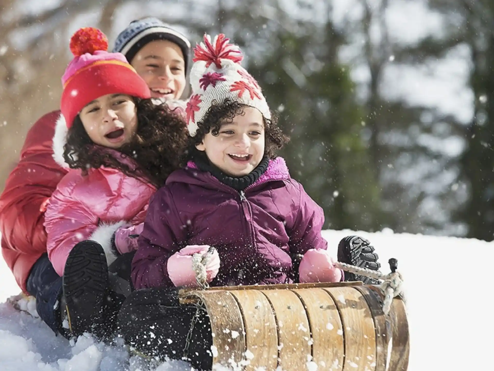 a group of children in a sled in the snow
