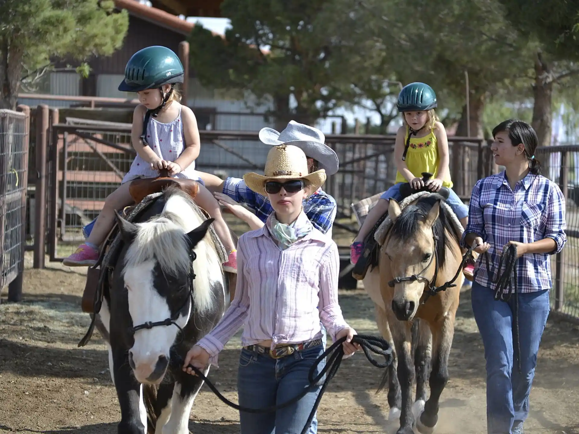 a group of people with horses